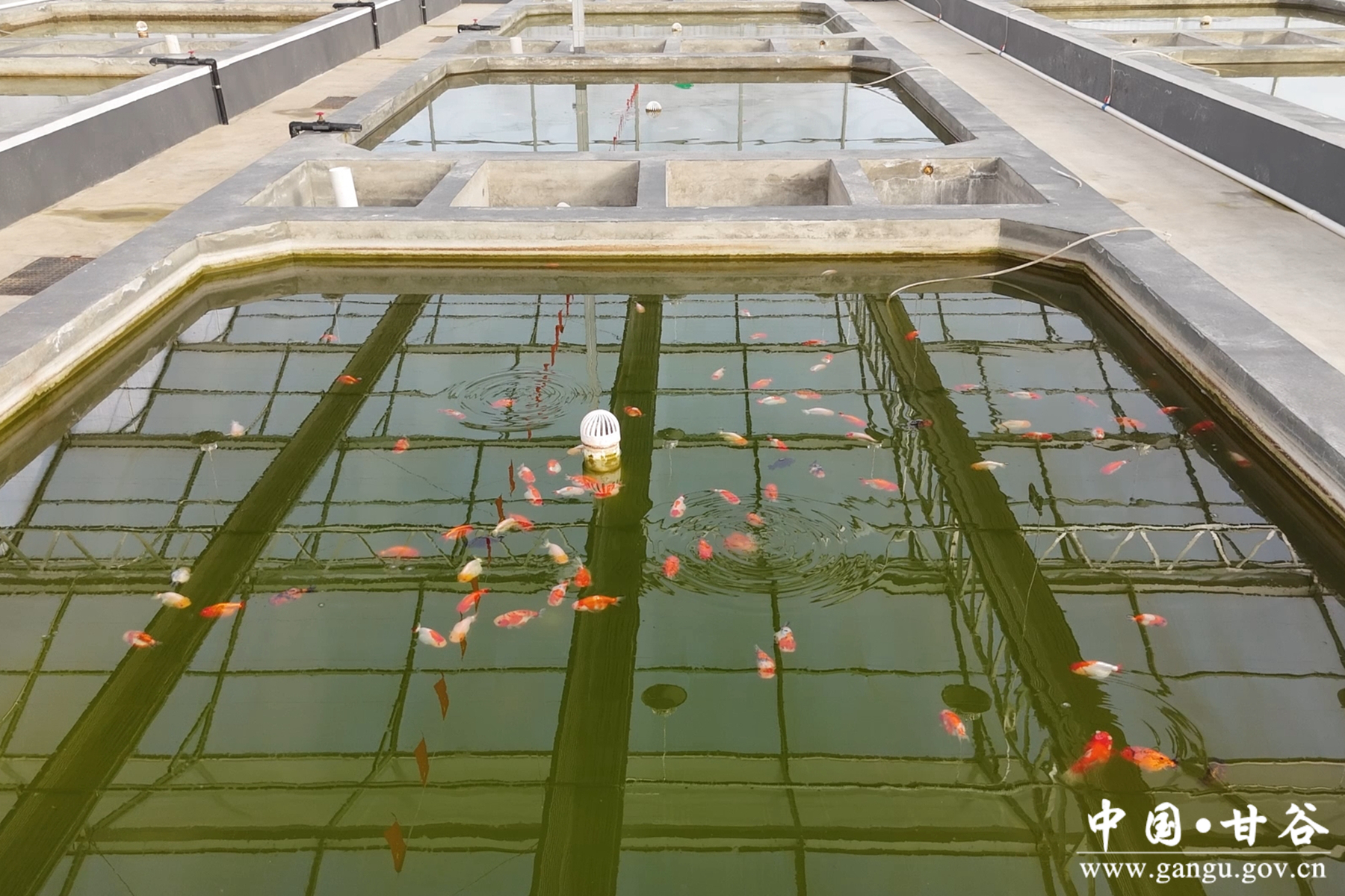 微信图片_20260115082806_139_209 微信图片_20260115082806_139_209