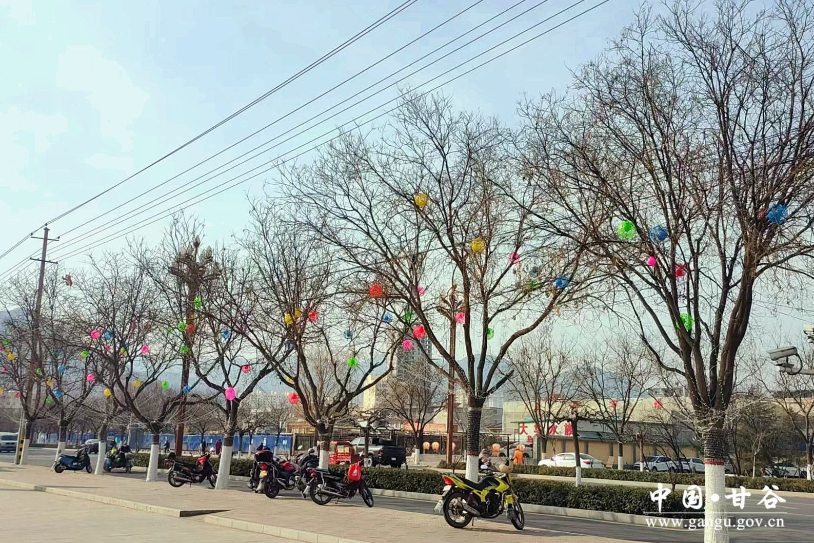 1706069898675040051.jpg 1706069898675040051.jpg