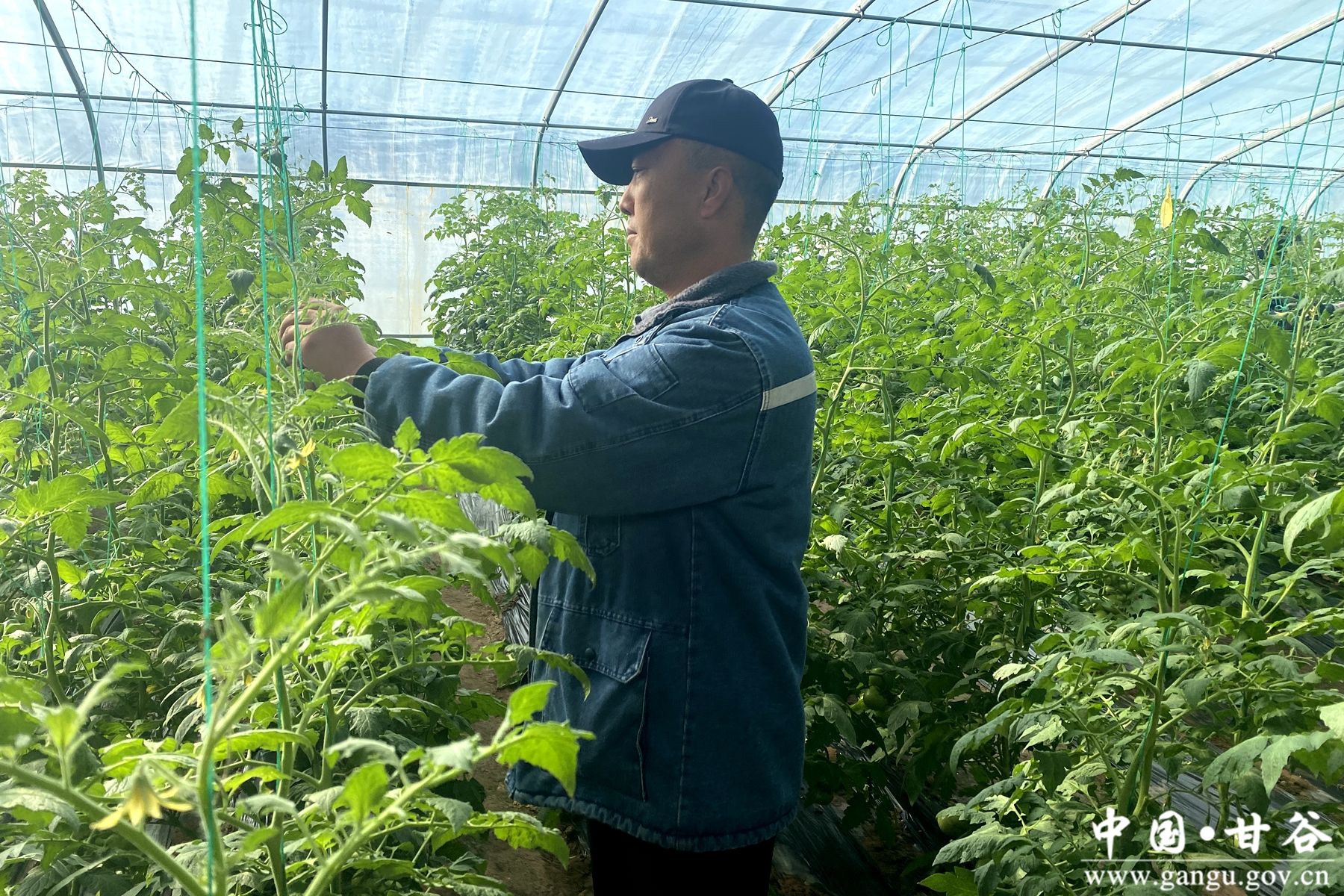 99898a203ceea1e525149762f7558662 99898a203ceea1e525149762f7558662