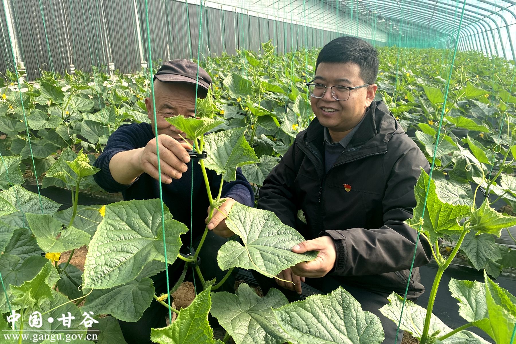 cb34f3fc5aa5708727b848b94e75817c cb34f3fc5aa5708727b848b94e75817c