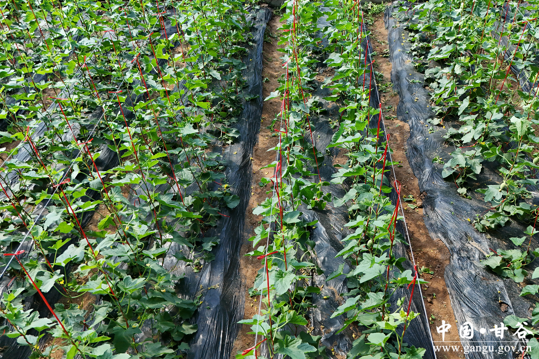 微信图片_20260331172838_67_148 微信图片_20260331172838_67_148