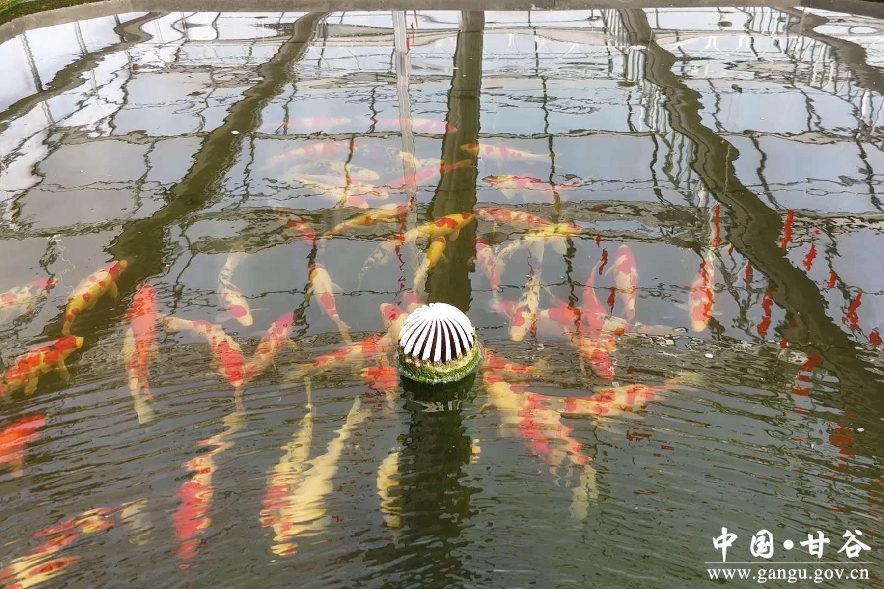 微信图片_20260115082814_140_209 微信图片_20260115082814_140_209