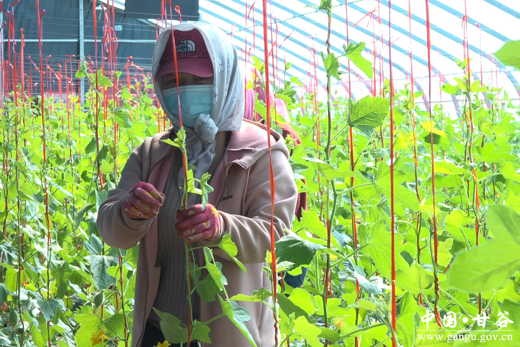 微信图片_20260331172832_66_148 微信图片_20260331172832_66_148