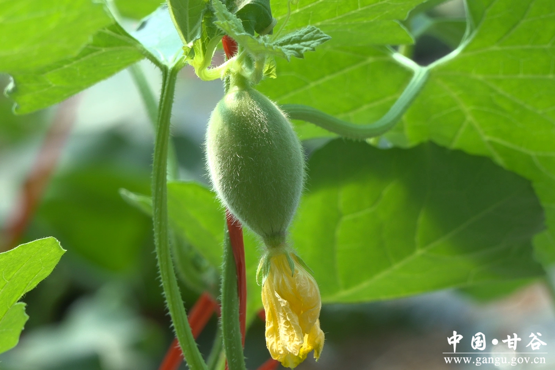 微信图片_20260331172830_65_148 微信图片_20260331172830_65_148