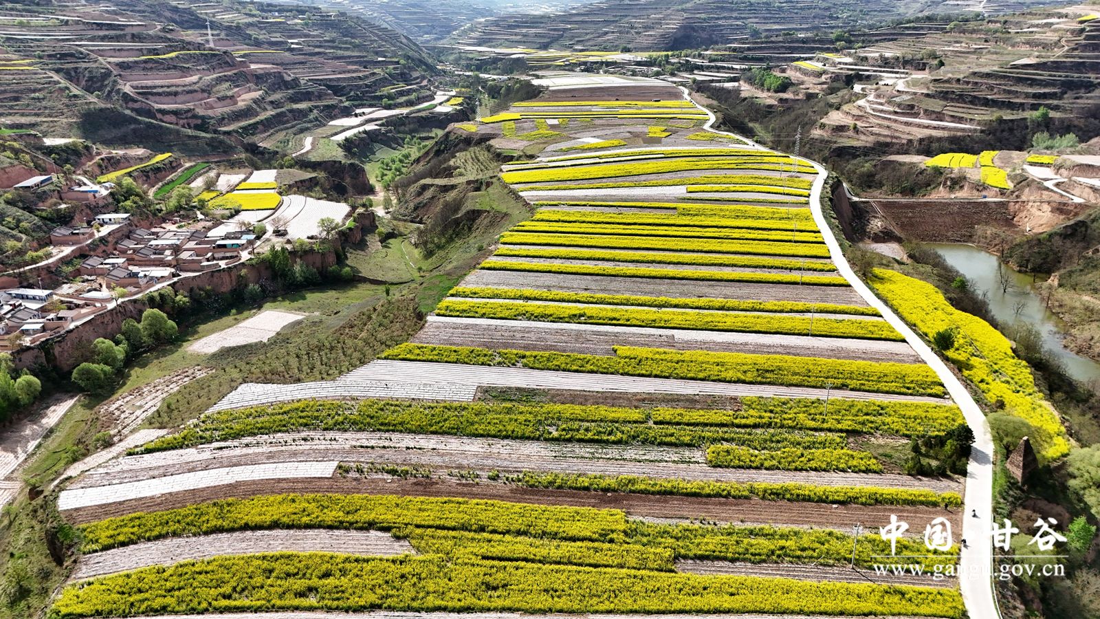 DJI_20251118074817_0028_D_副本 DJI_20251118074817_0028_D_副本