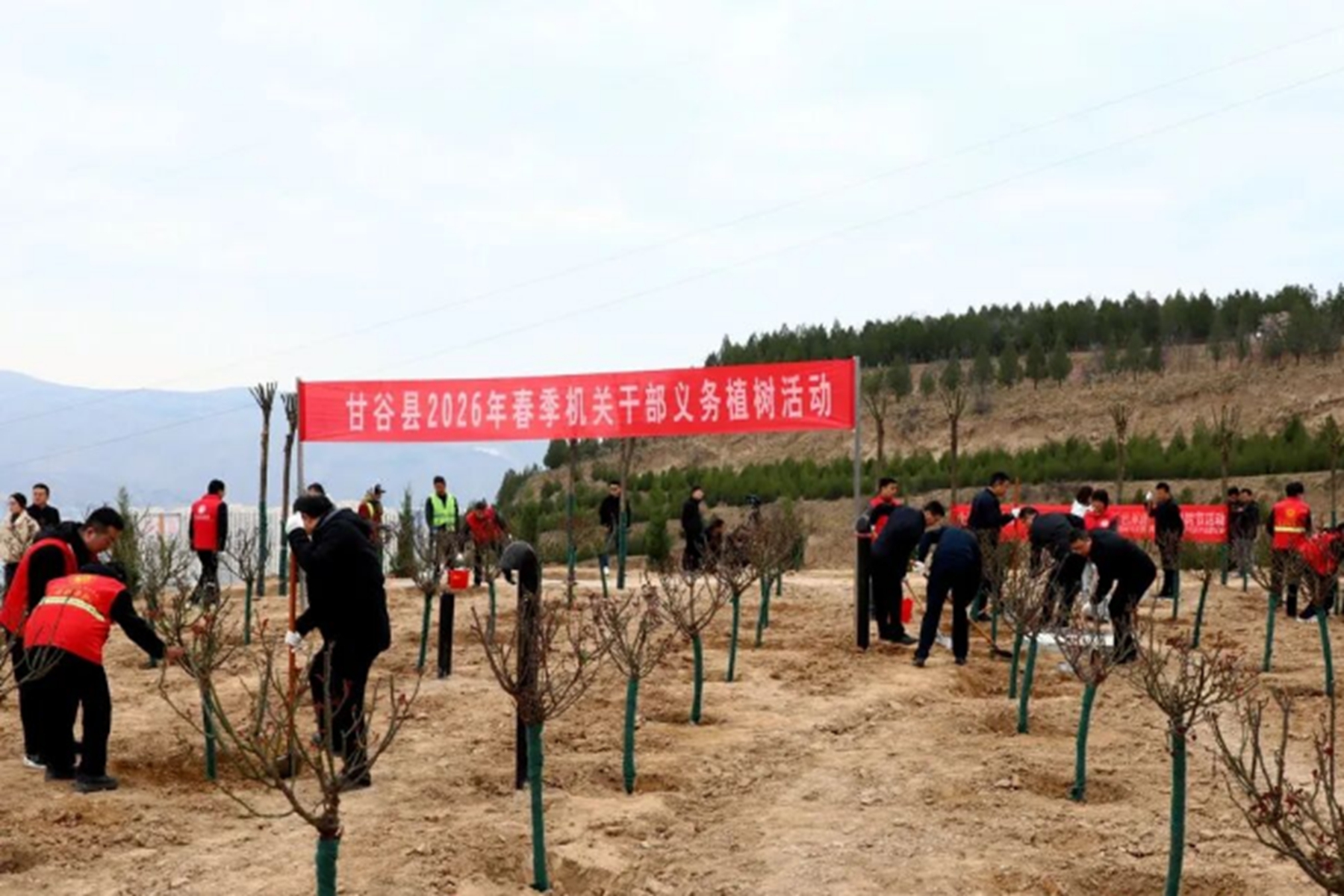 0dfd305b0a7e4529a61a1d6198e0dc22 0dfd305b0a7e4529a61a1d6198e0dc22