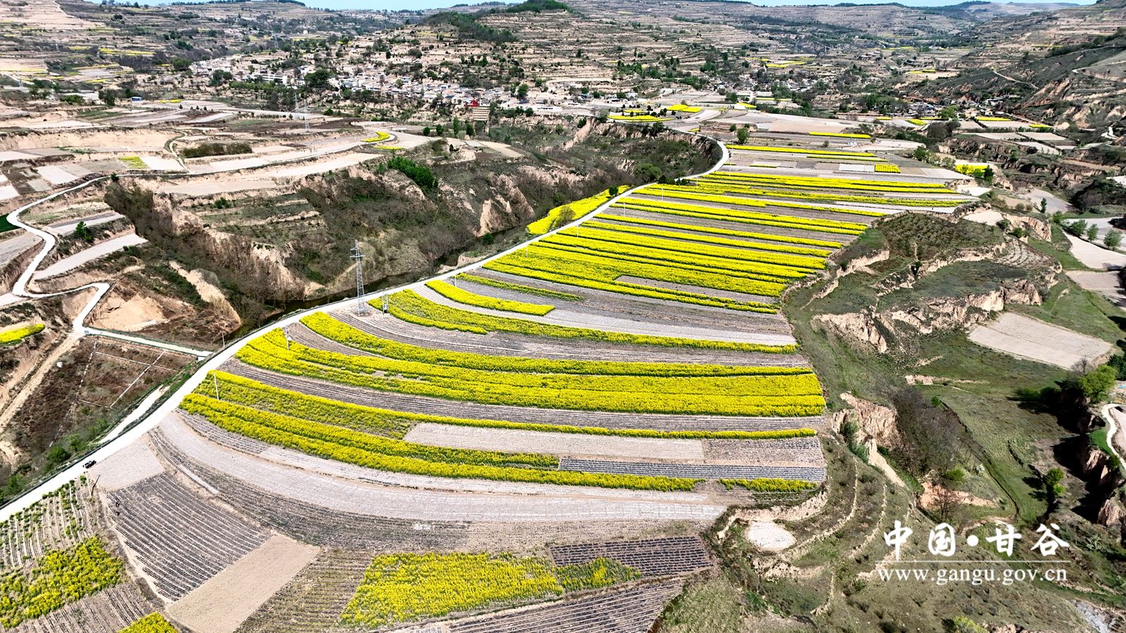 DJI_20251118075349_0036_D_副本 DJI_20251118075349_0036_D_副本