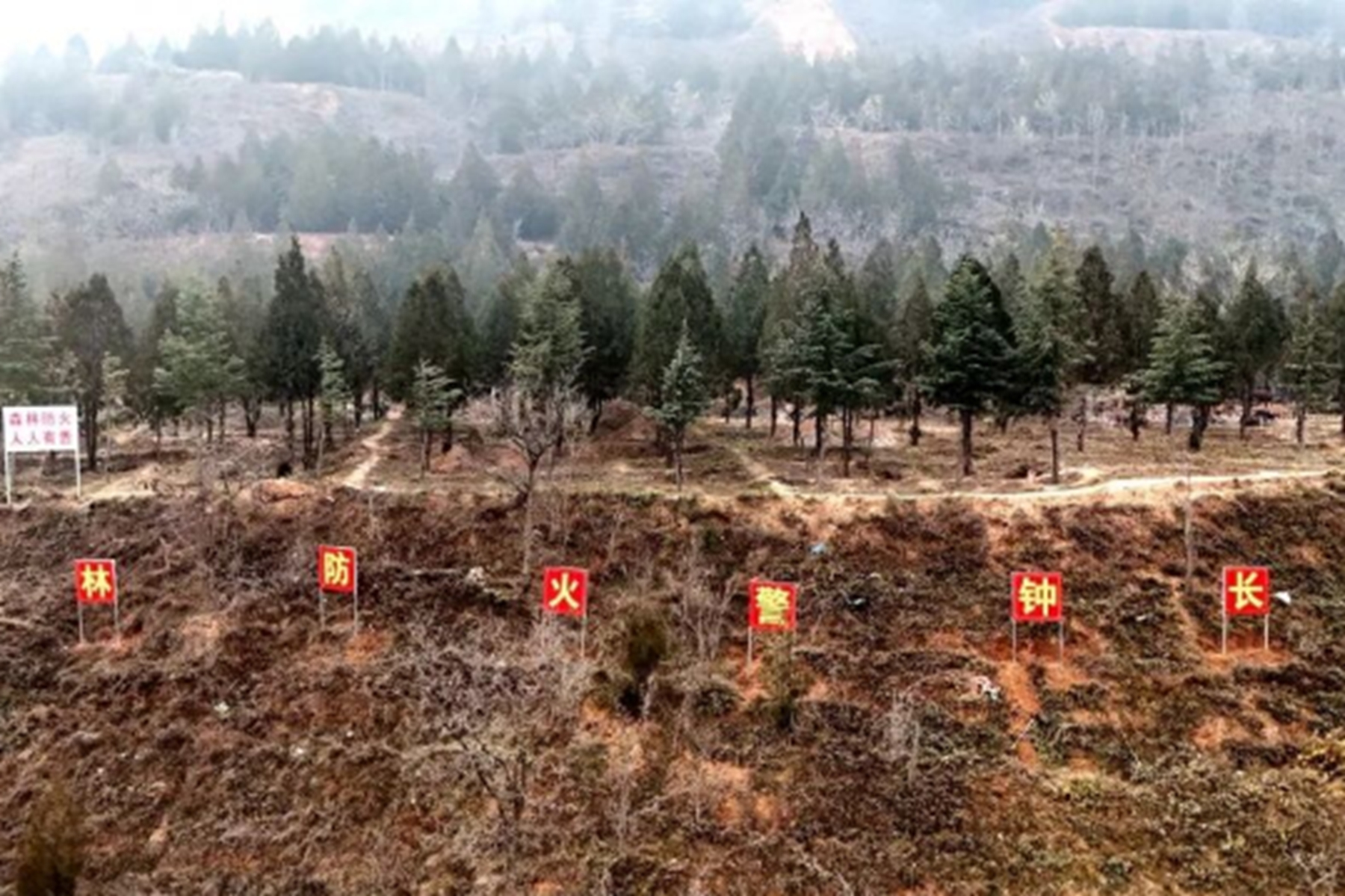 0f2812d80054435ebef1d204fb37b0d5 0f2812d80054435ebef1d204fb37b0d5