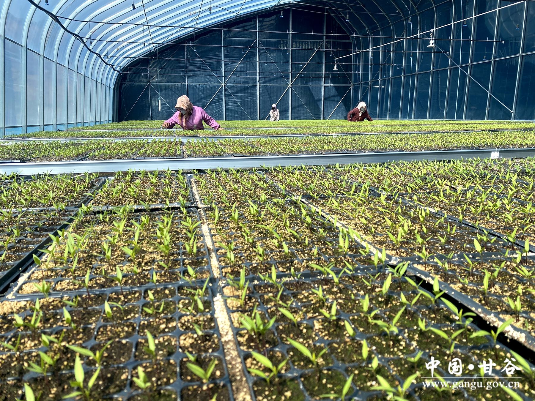 4afc334057116483c6622816b1a7468 4afc334057116483c6622816b1a7468