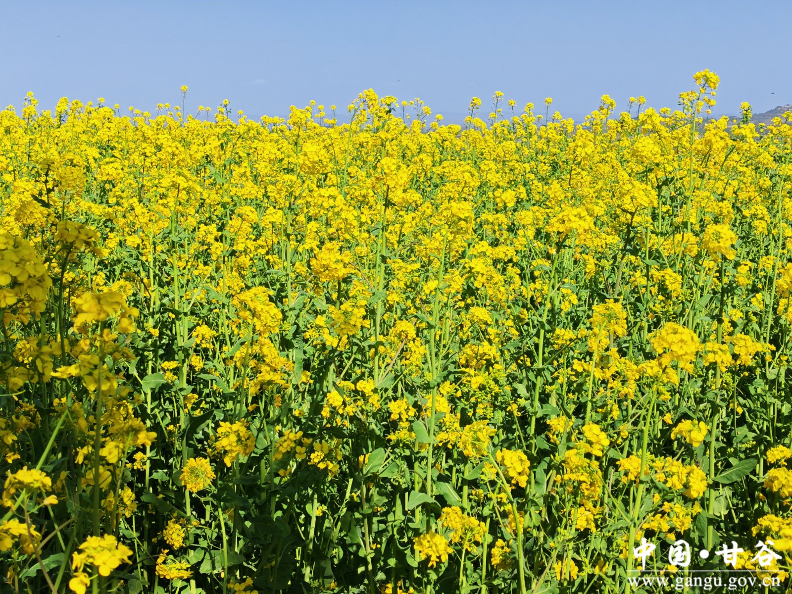 微信图片_20260417163507_67_4 微信图片_20260417163507_67_4