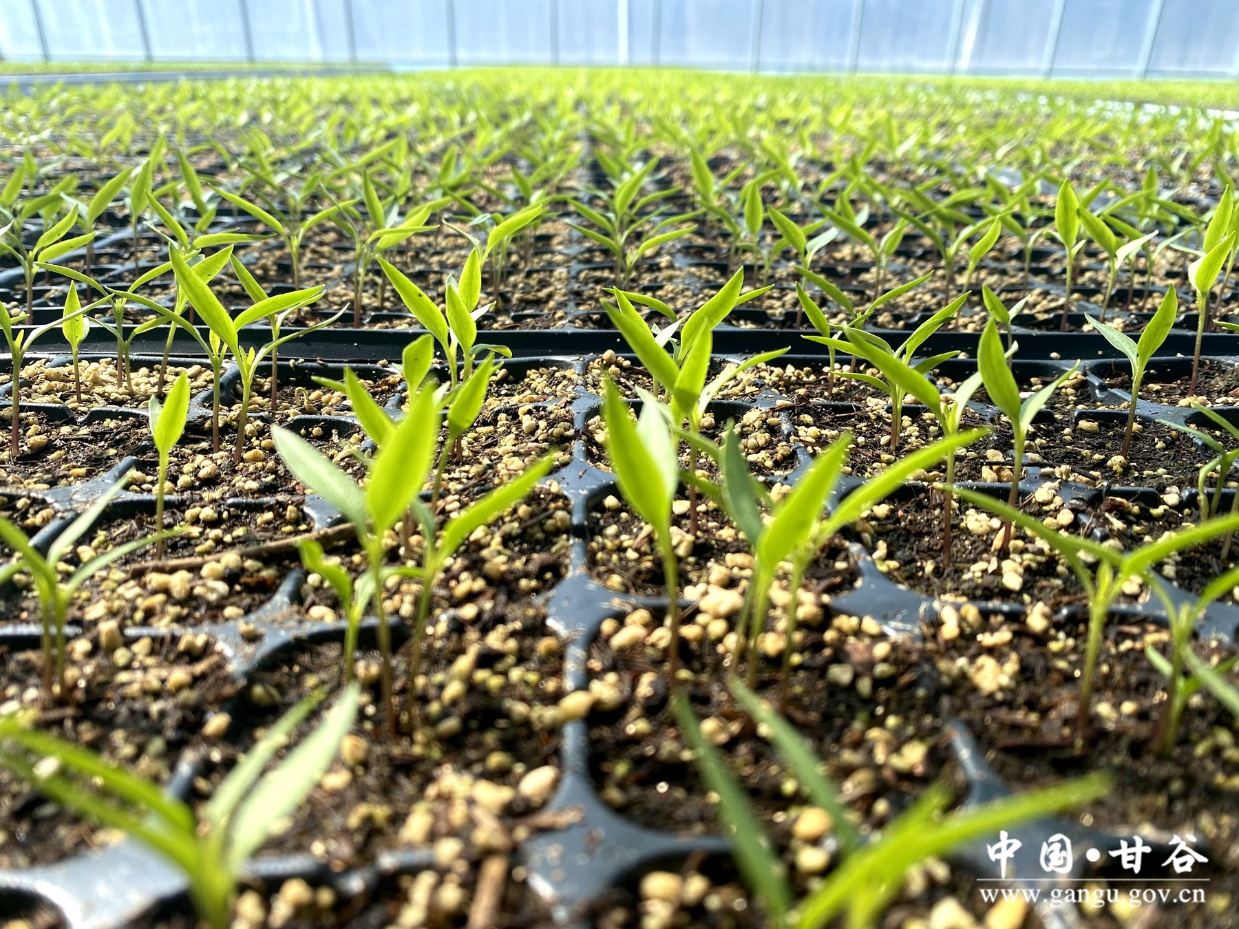 31dd2af4786c5b7876d47f838f23e8f 31dd2af4786c5b7876d47f838f23e8f