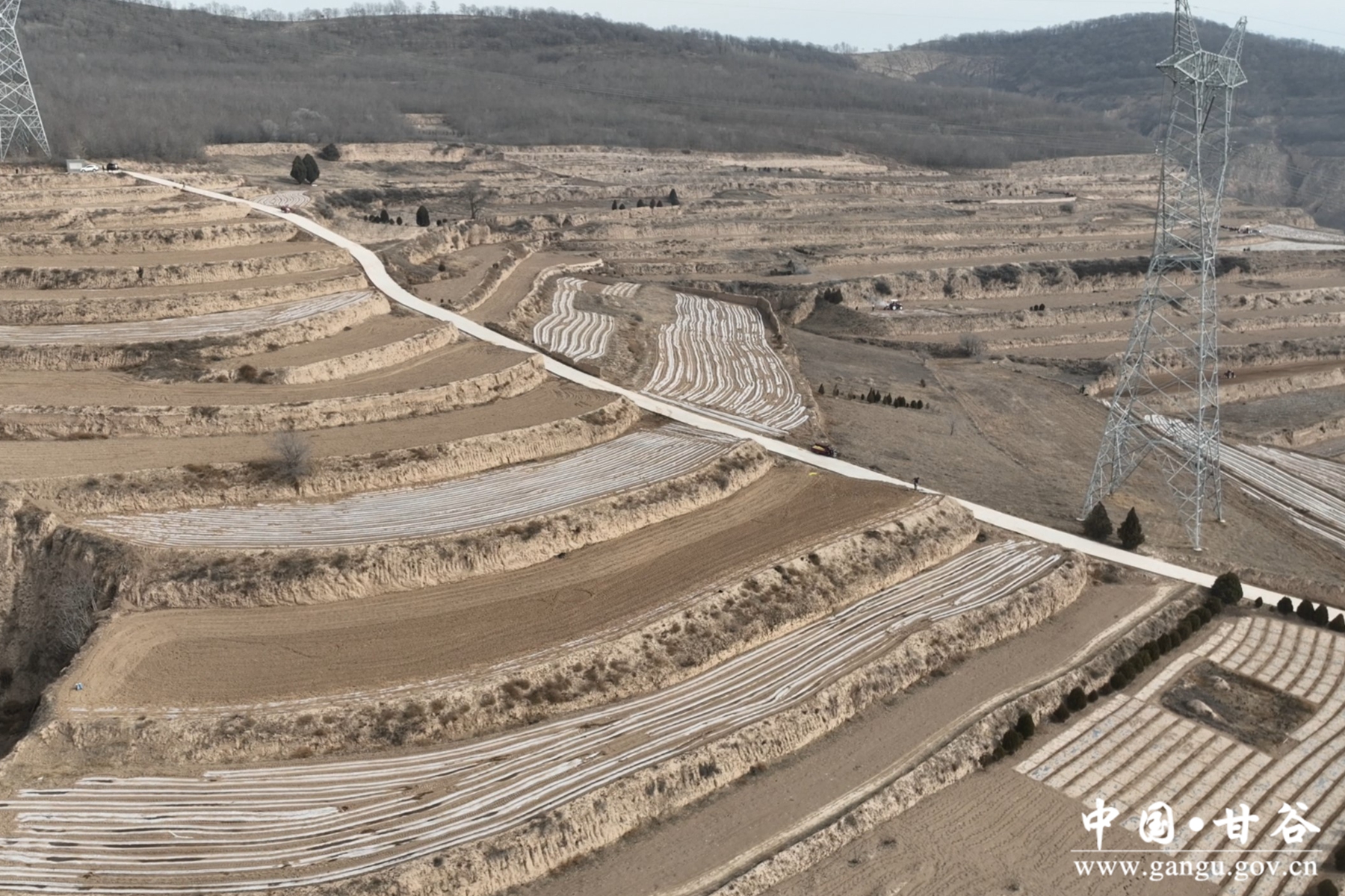 微信图片_20240313094542 微信图片_20240313094542