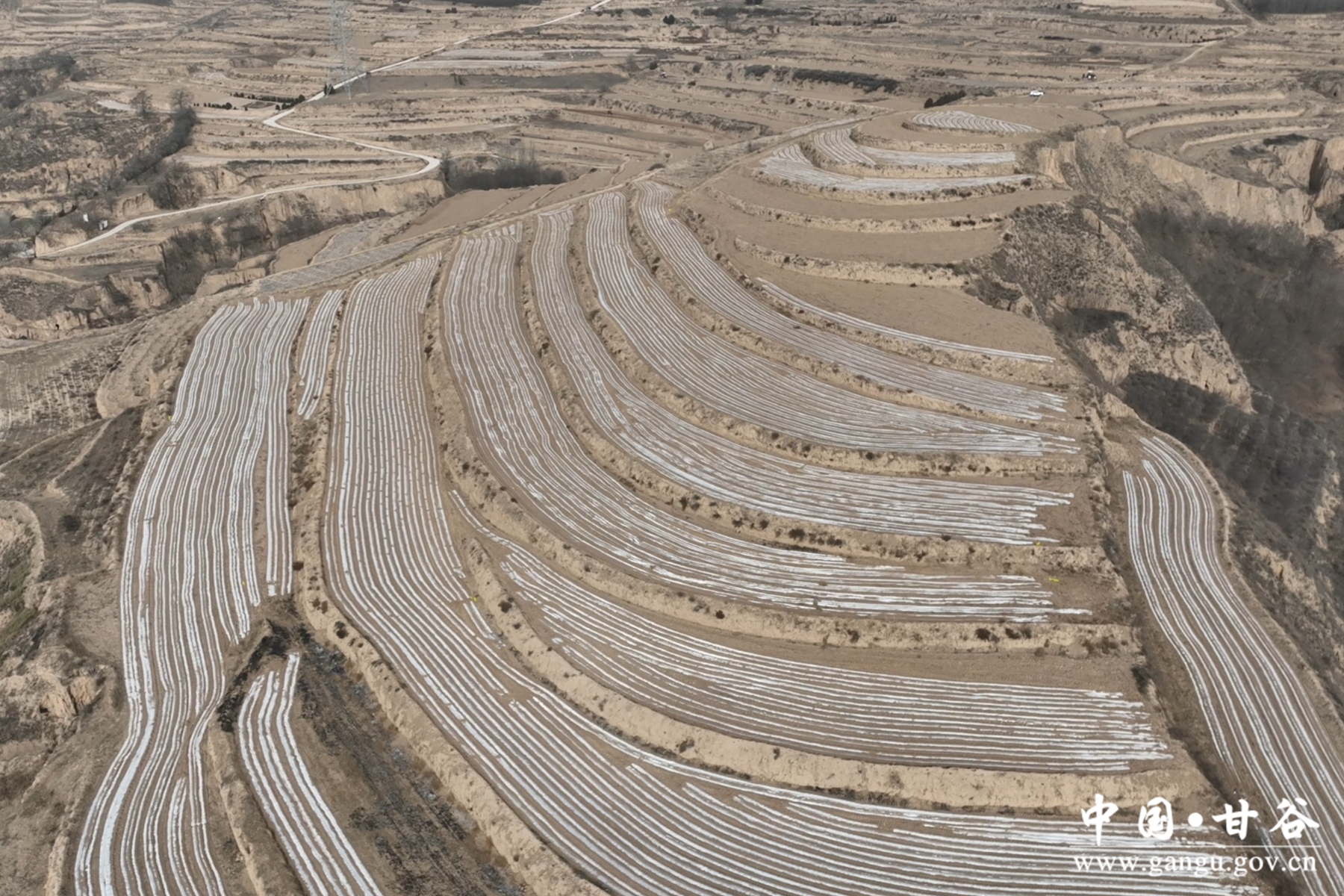 微信图片_20240313094552 微信图片_20240313094552