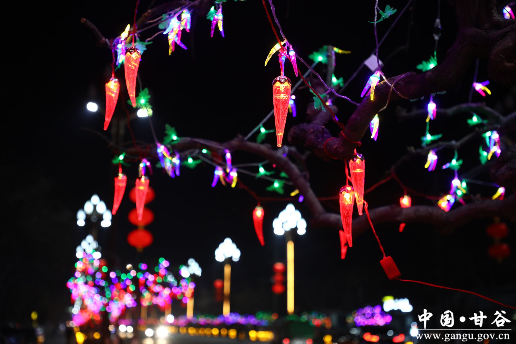 926A6332_副本 926A6332_副本