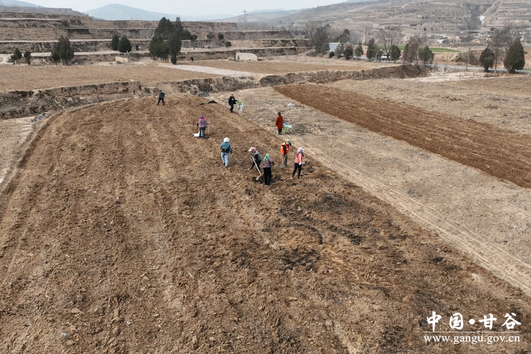 微信图片_20240313094539 微信图片_20240313094539