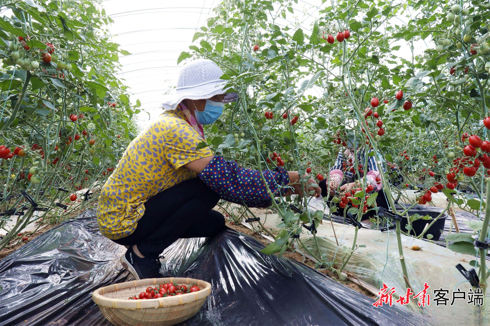 FZ007224623806_A3993804 FZ007224623806_A3993804