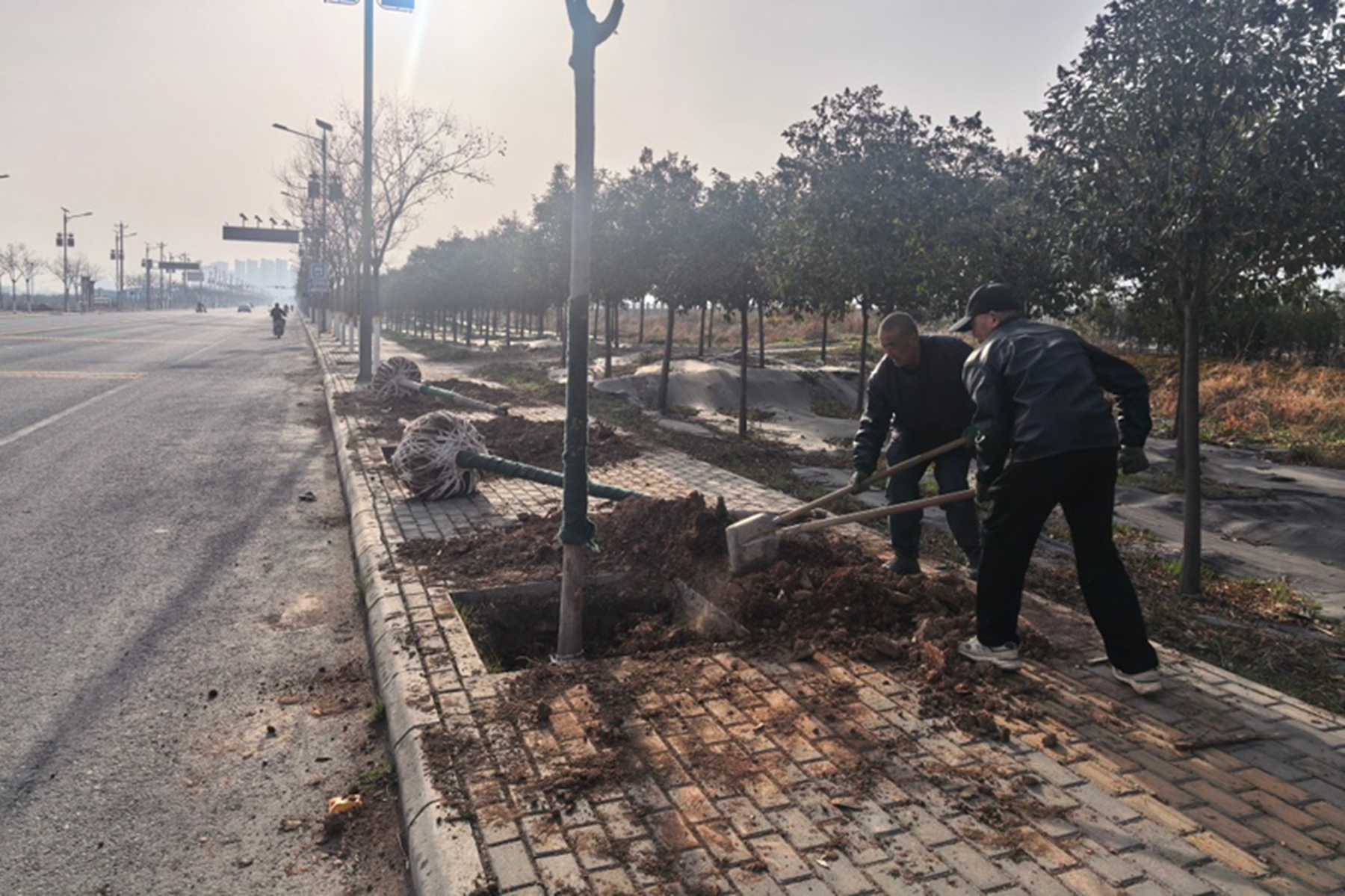 0dfd305b0a7e4529a61a1d6198e0dc22 0dfd305b0a7e4529a61a1d6198e0dc22