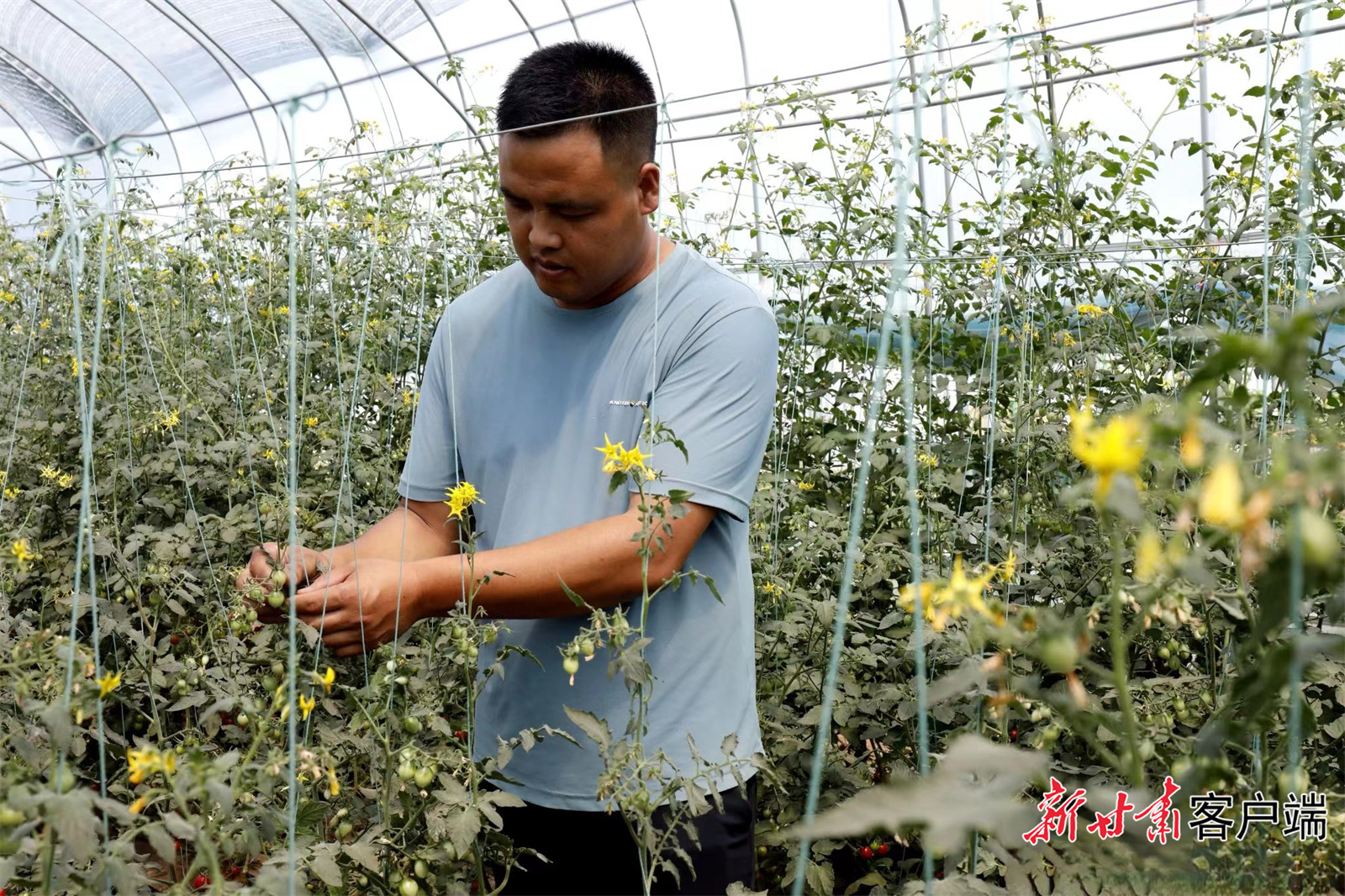 FZ007224623806_A3993803 FZ007224623806_A3993803