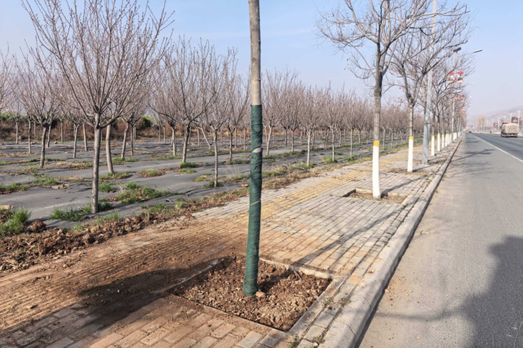 1ac98e1bf494497ea17761bf07d37cc5 1ac98e1bf494497ea17761bf07d37cc5