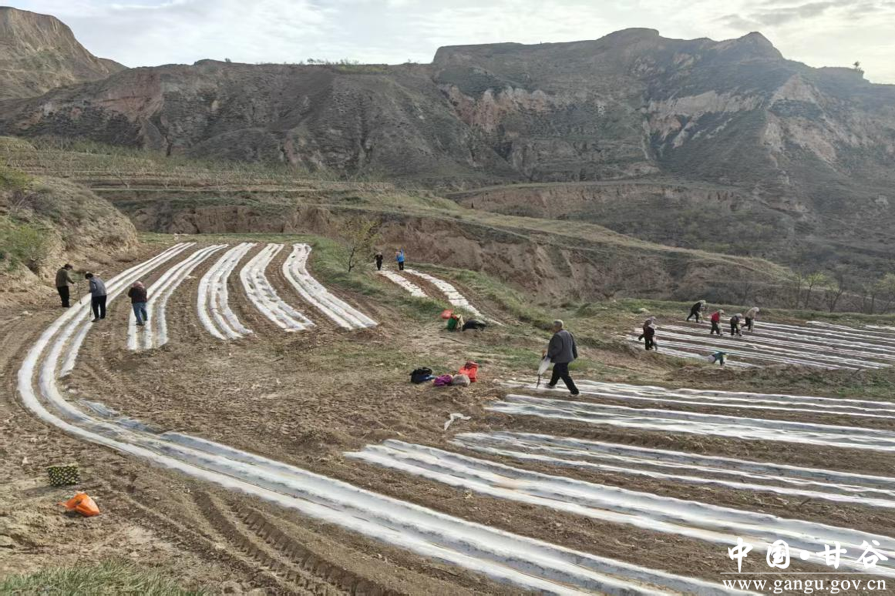 微信图片_20260422105436_6_241 微信图片_20260422105436_6_241