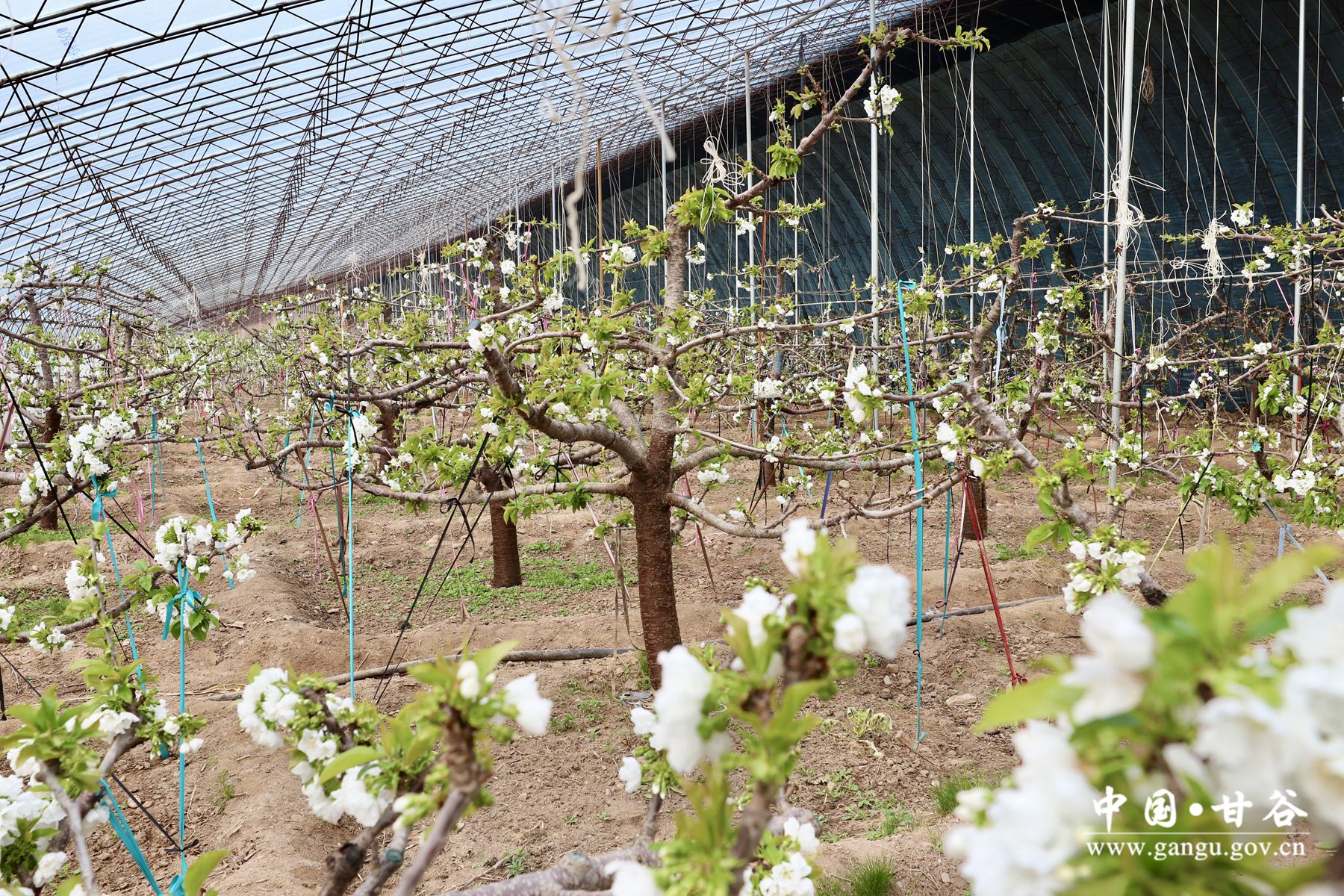 1705575912119045779.jpg 1705575912119045779.jpg