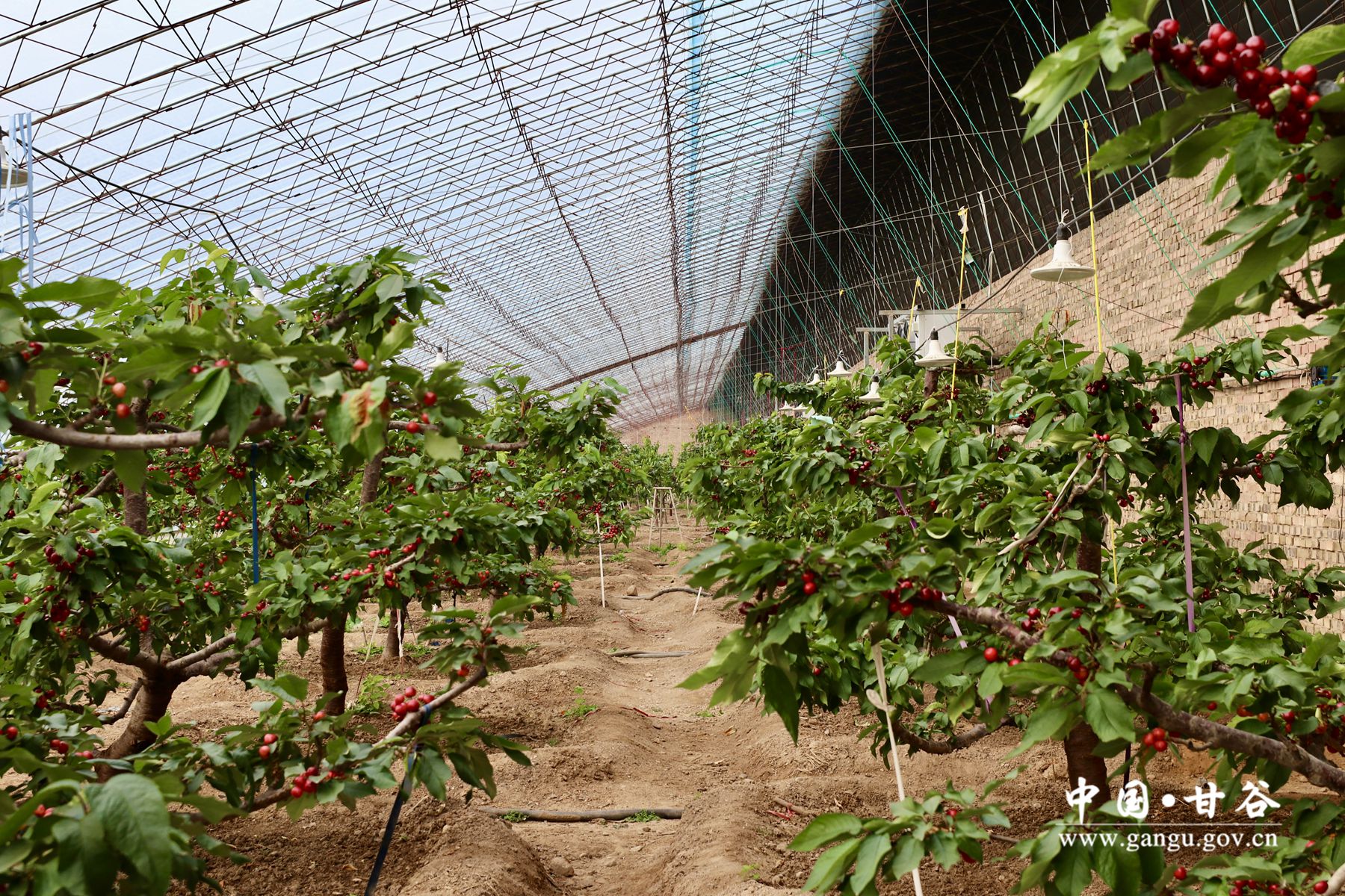 1705575723175052113.jpg 1705575723175052113.jpg