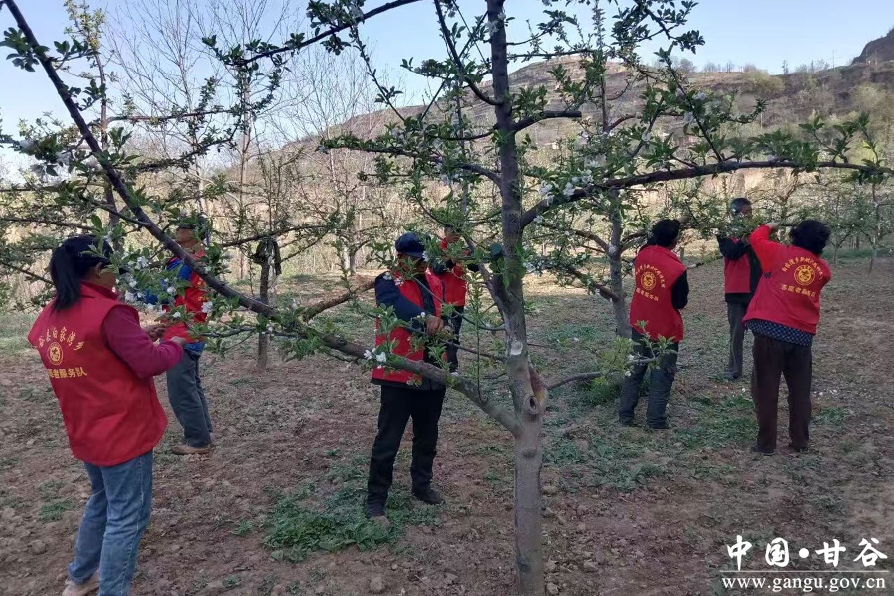 微信图片_20260422105435_5_241 微信图片_20260422105435_5_241