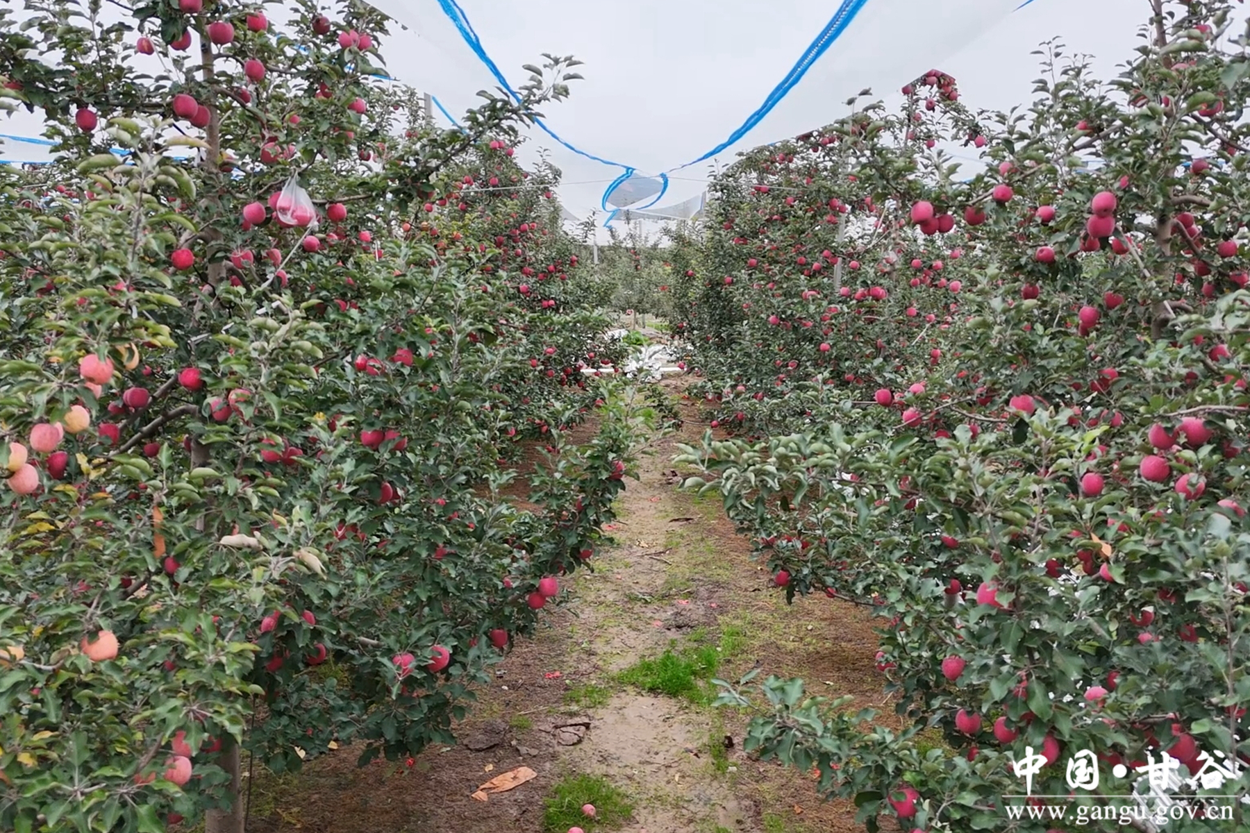 微信图片_20251022114527_11_148 微信图片_20251022114527_11_148