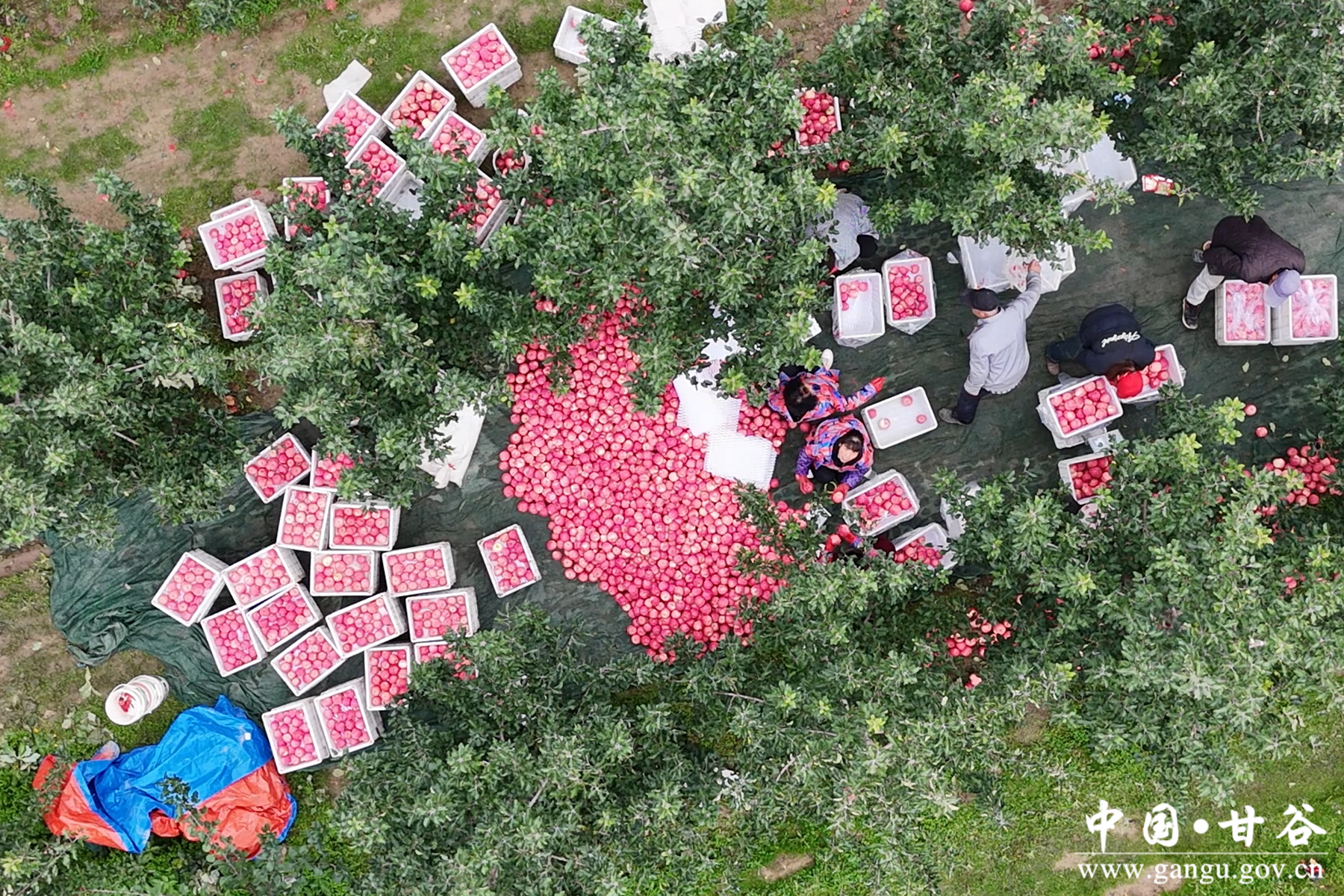 微信图片_20251022114458_5_148 微信图片_20251022114458_5_148