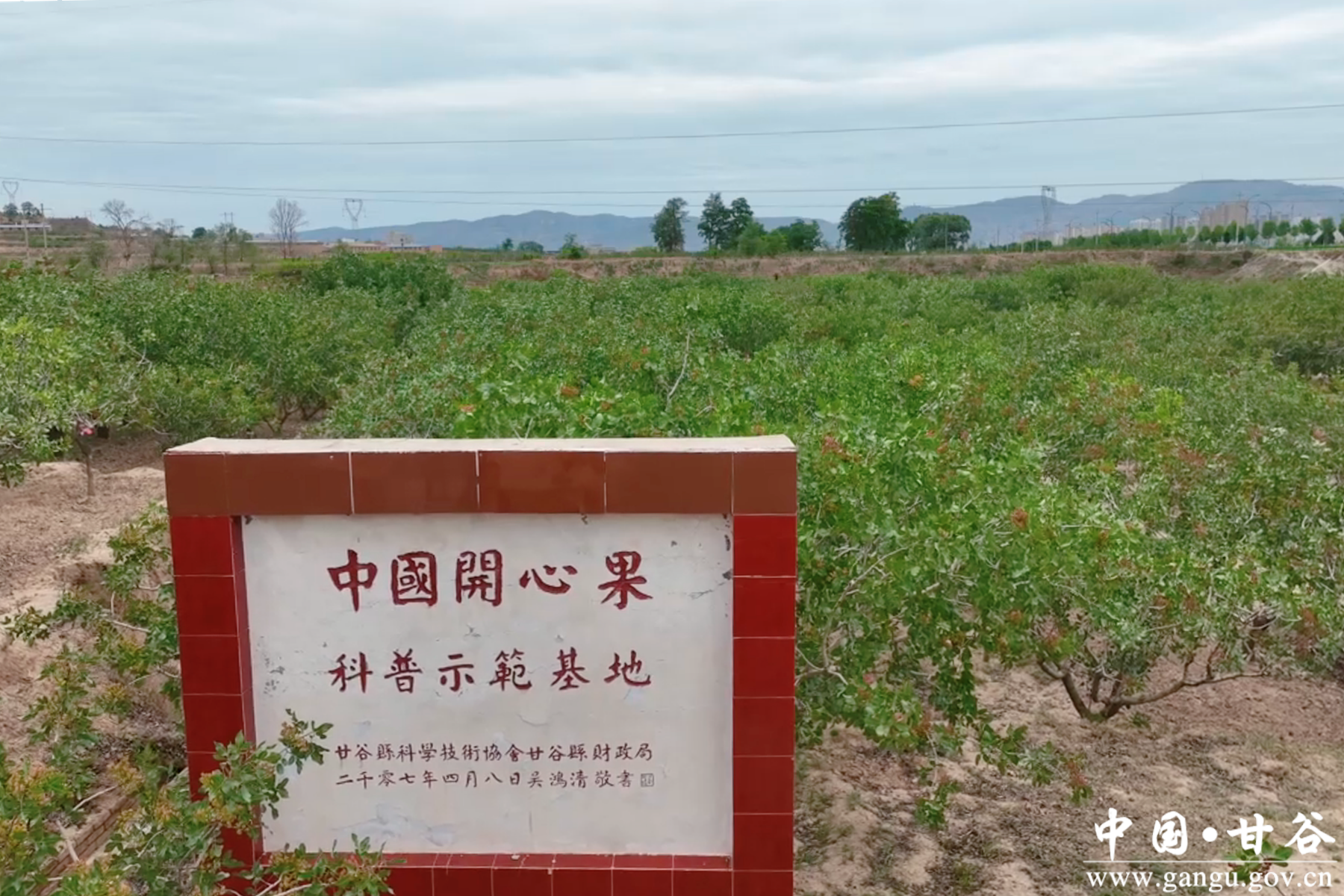 微信图片_20250604160354 微信图片_20250604160354