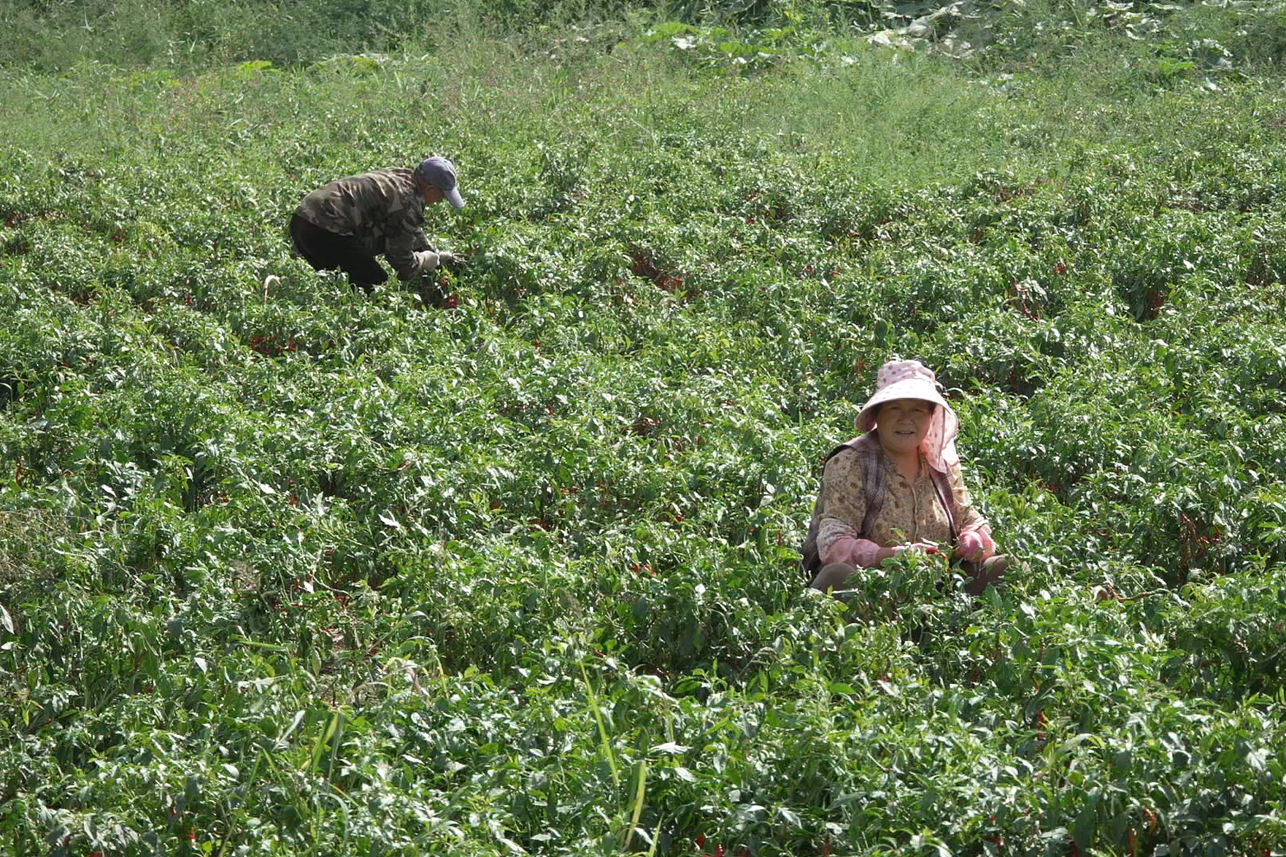 微信图片_20250911165900_8_289 微信图片_20250911165900_8_289