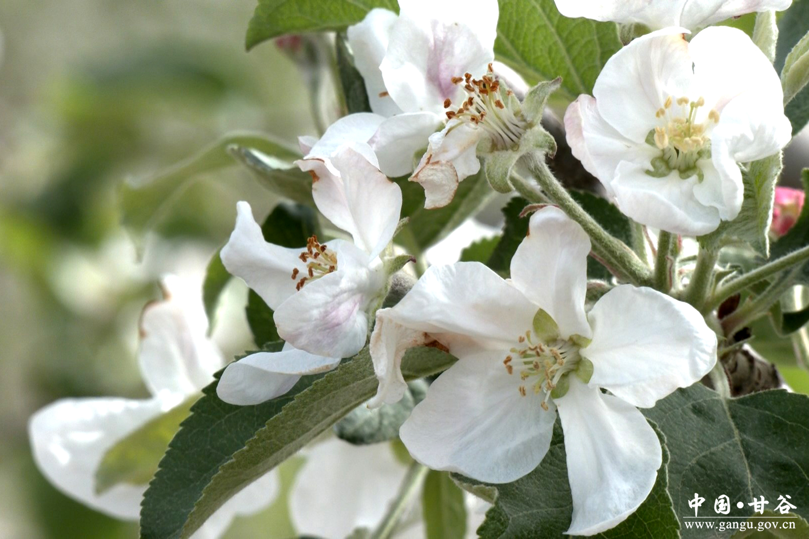 1776392894581055186.jpg 1776392894581055186.jpg