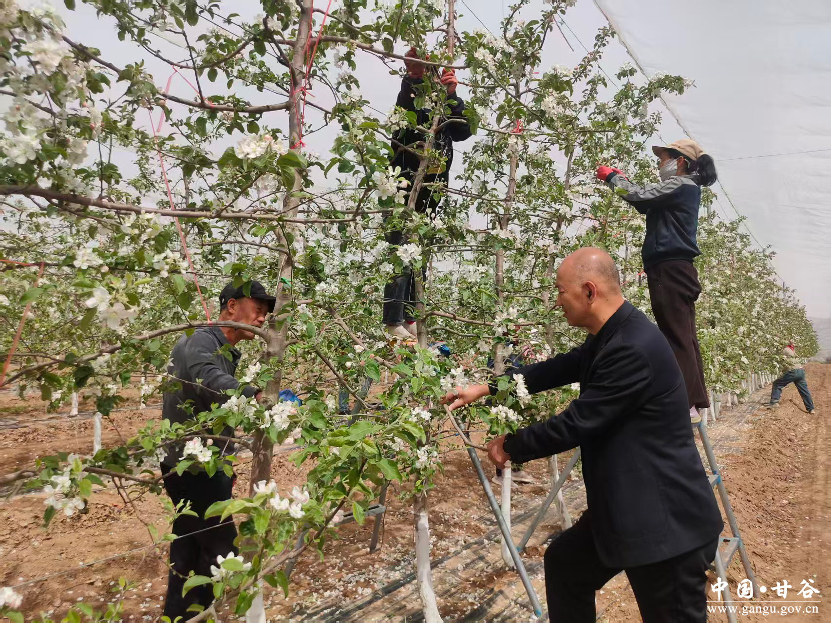 1776393059218071524.jpg 1776393059218071524.jpg