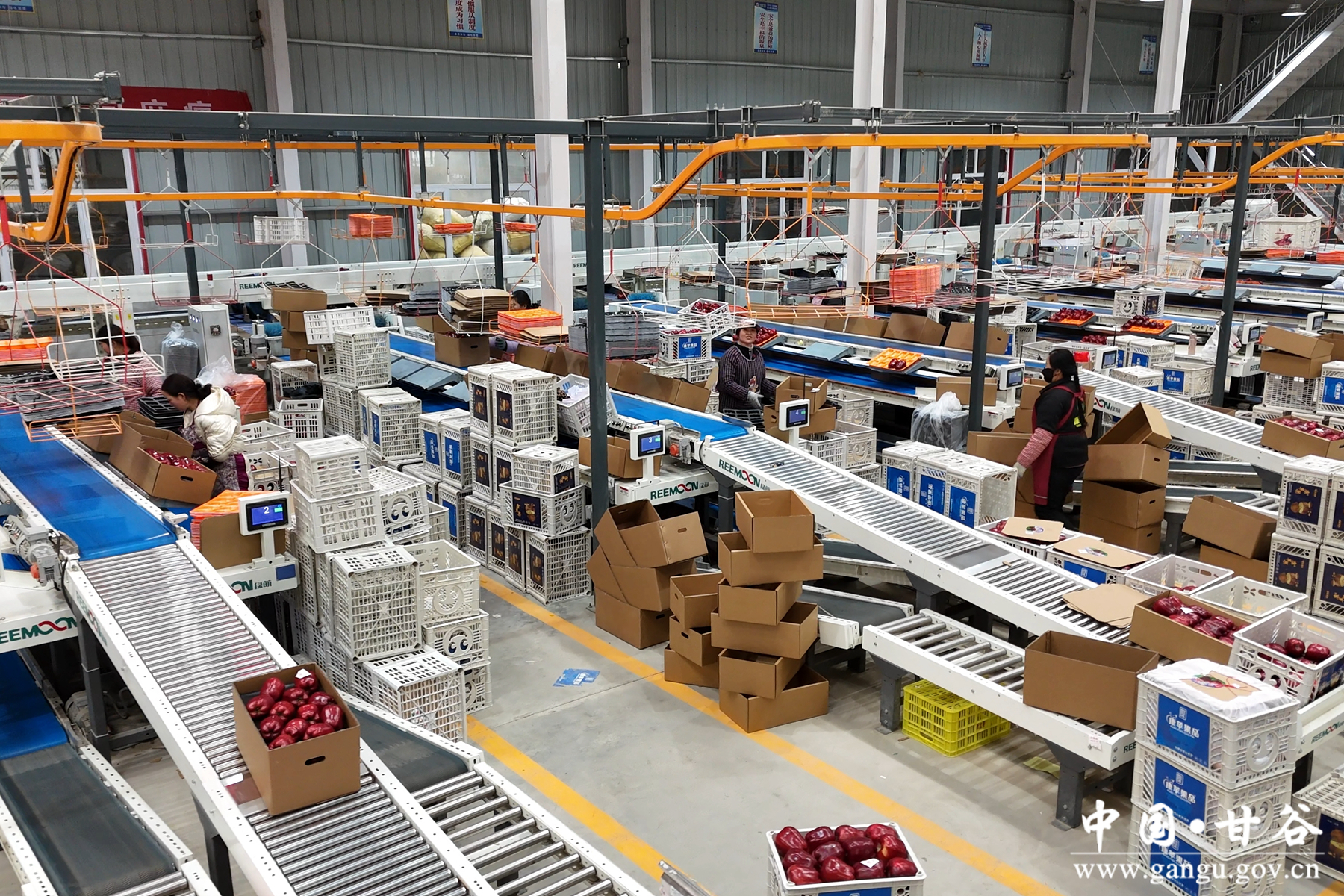 微信图片_20260120143002_149_209 微信图片_20260120143002_149_209