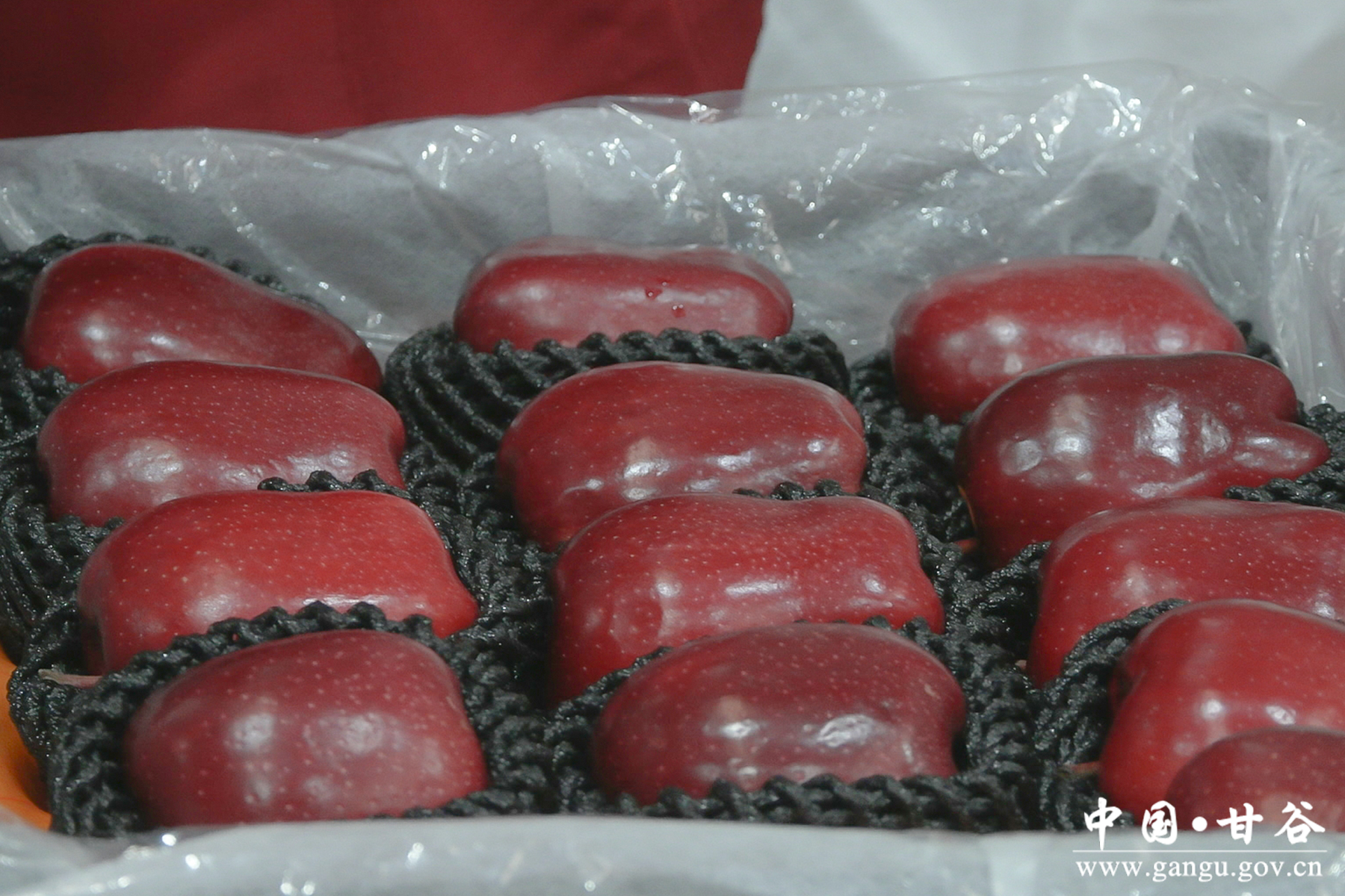 微信图片_20260120143001_148_209 微信图片_20260120143001_148_209