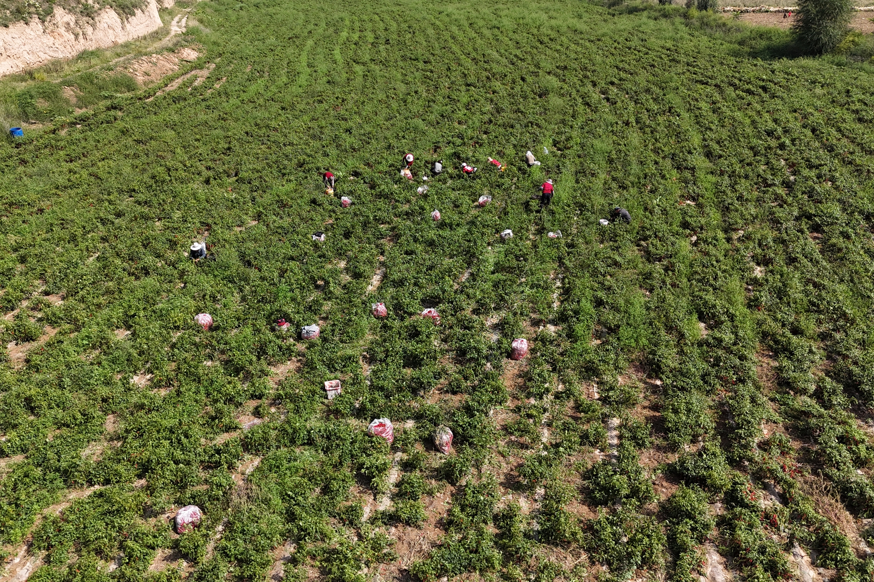 微信图片_20250911165803_4_289 微信图片_20250911165803_4_289