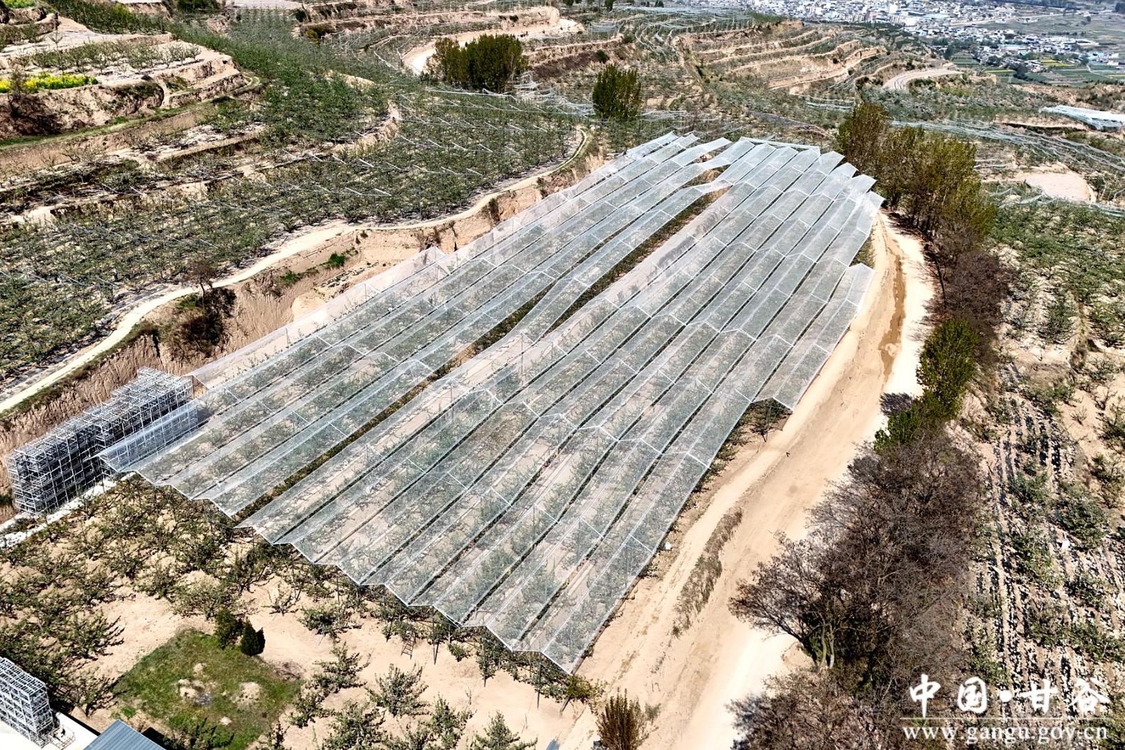 ceb8a8c4ef0d6f1e2c5e33ef3a5f3fe0 ceb8a8c4ef0d6f1e2c5e33ef3a5f3fe0