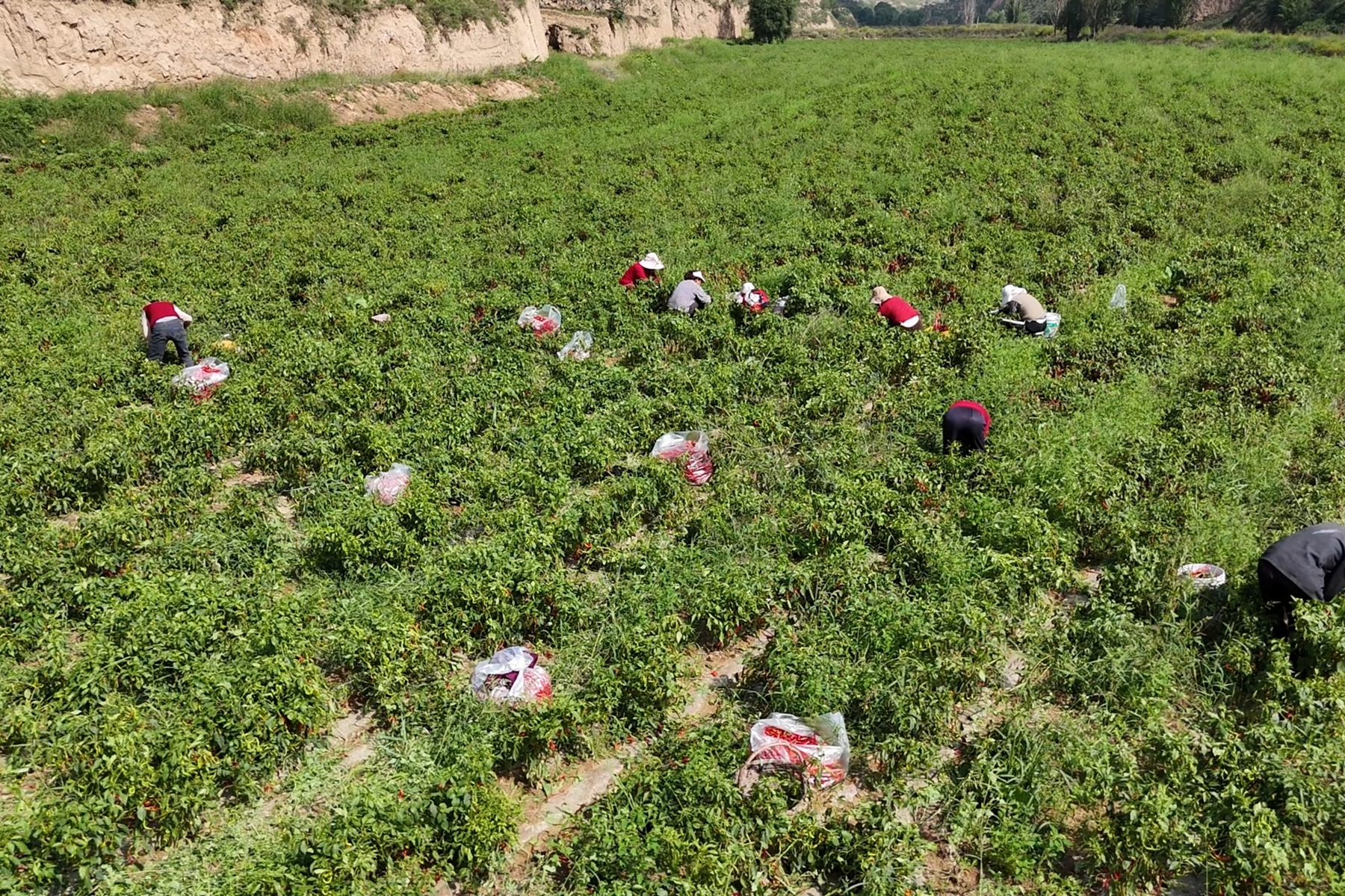 微信图片_20250911165735_3_289 微信图片_20250911165735_3_289