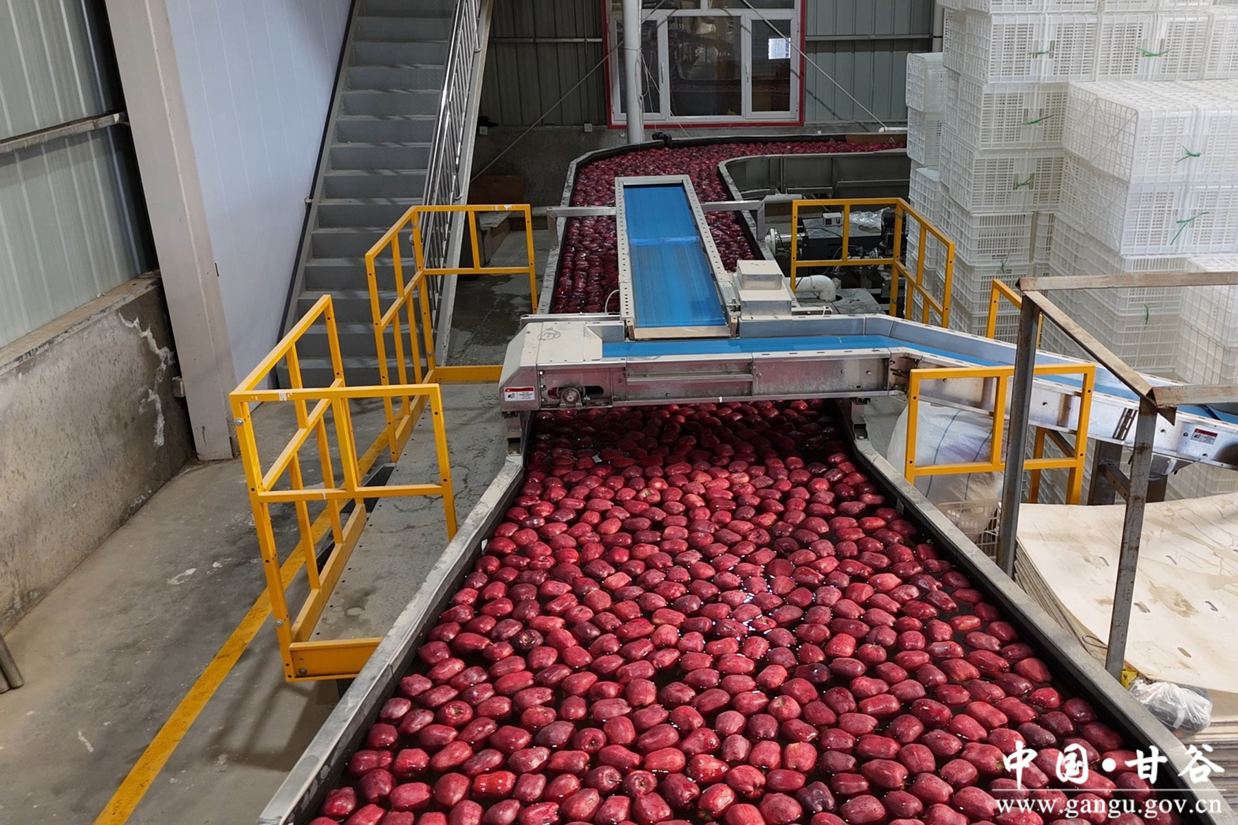 微信图片_20260120143005_152_209 微信图片_20260120143005_152_209