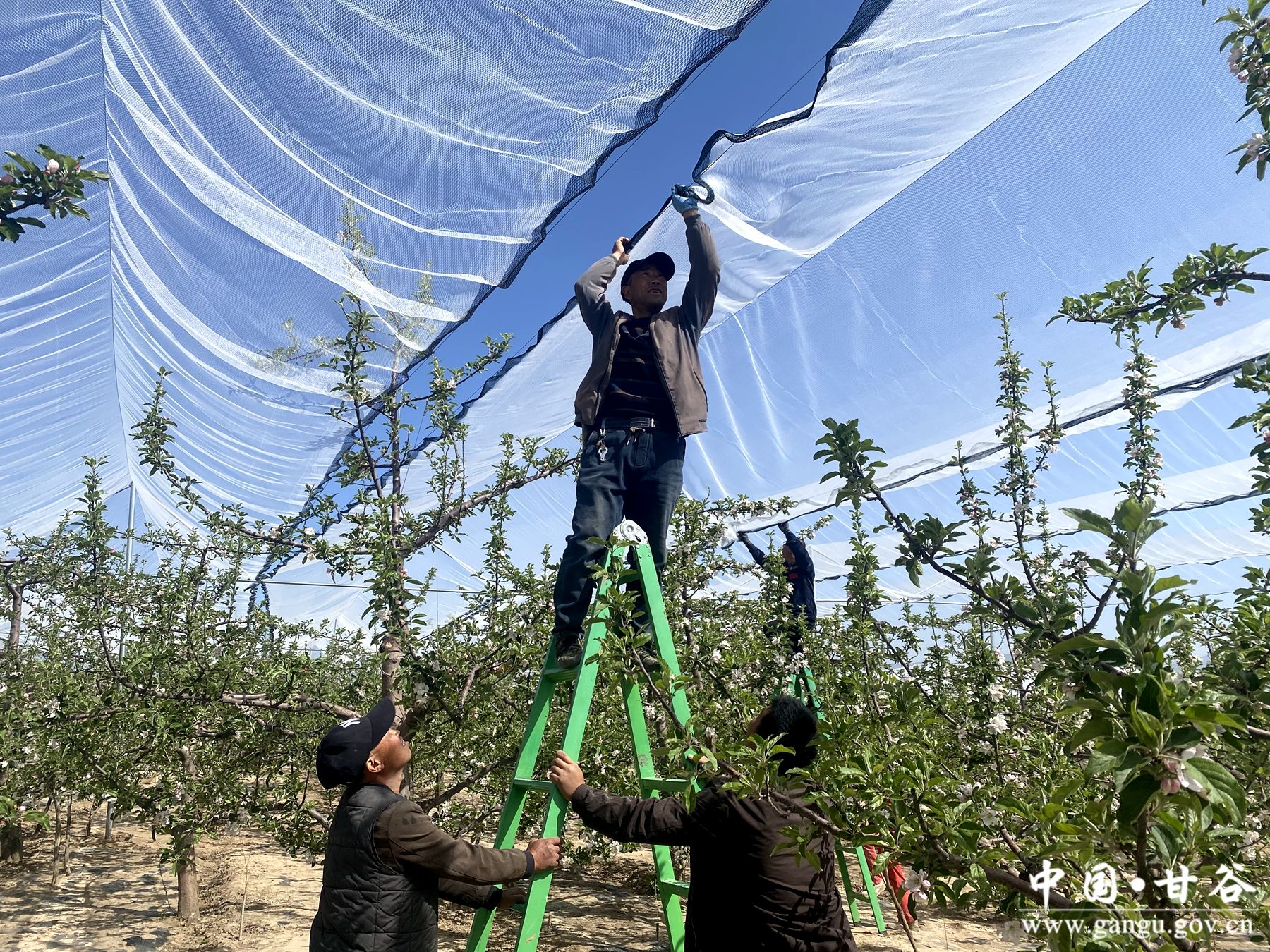 3f1280f99abbae677cb48ef8964a38e9 3f1280f99abbae677cb48ef8964a38e9