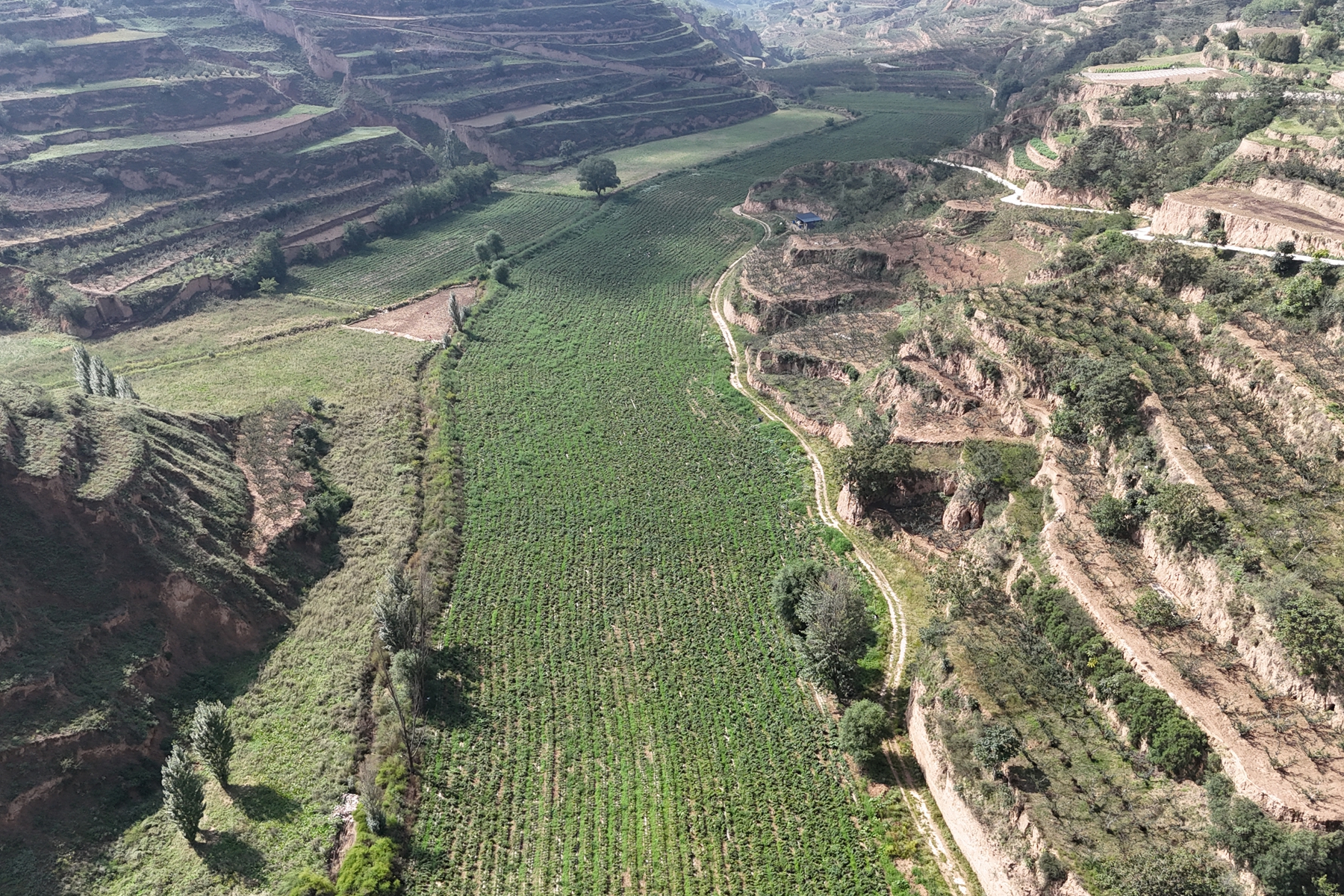 微信图片_20250911165847_5_289 微信图片_20250911165847_5_289