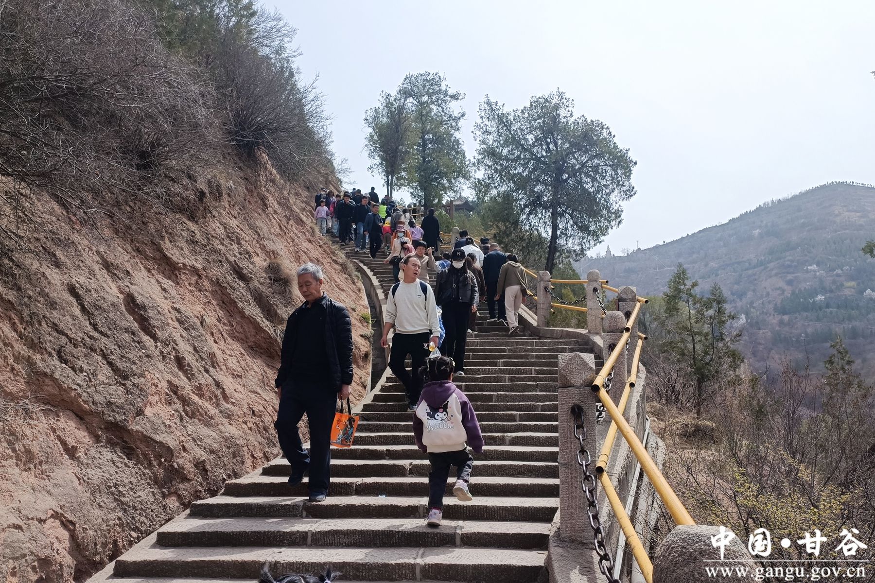 微信图片_20250405151835 微信图片_20250405151835