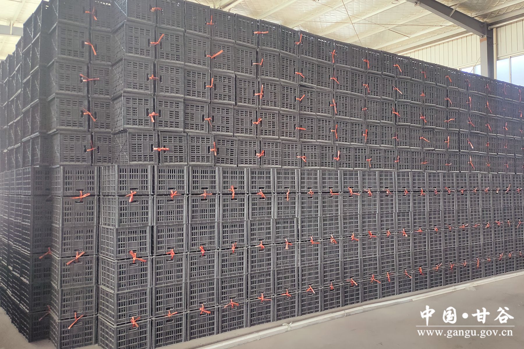 微信图片_20240116102856 微信图片_20240116102856