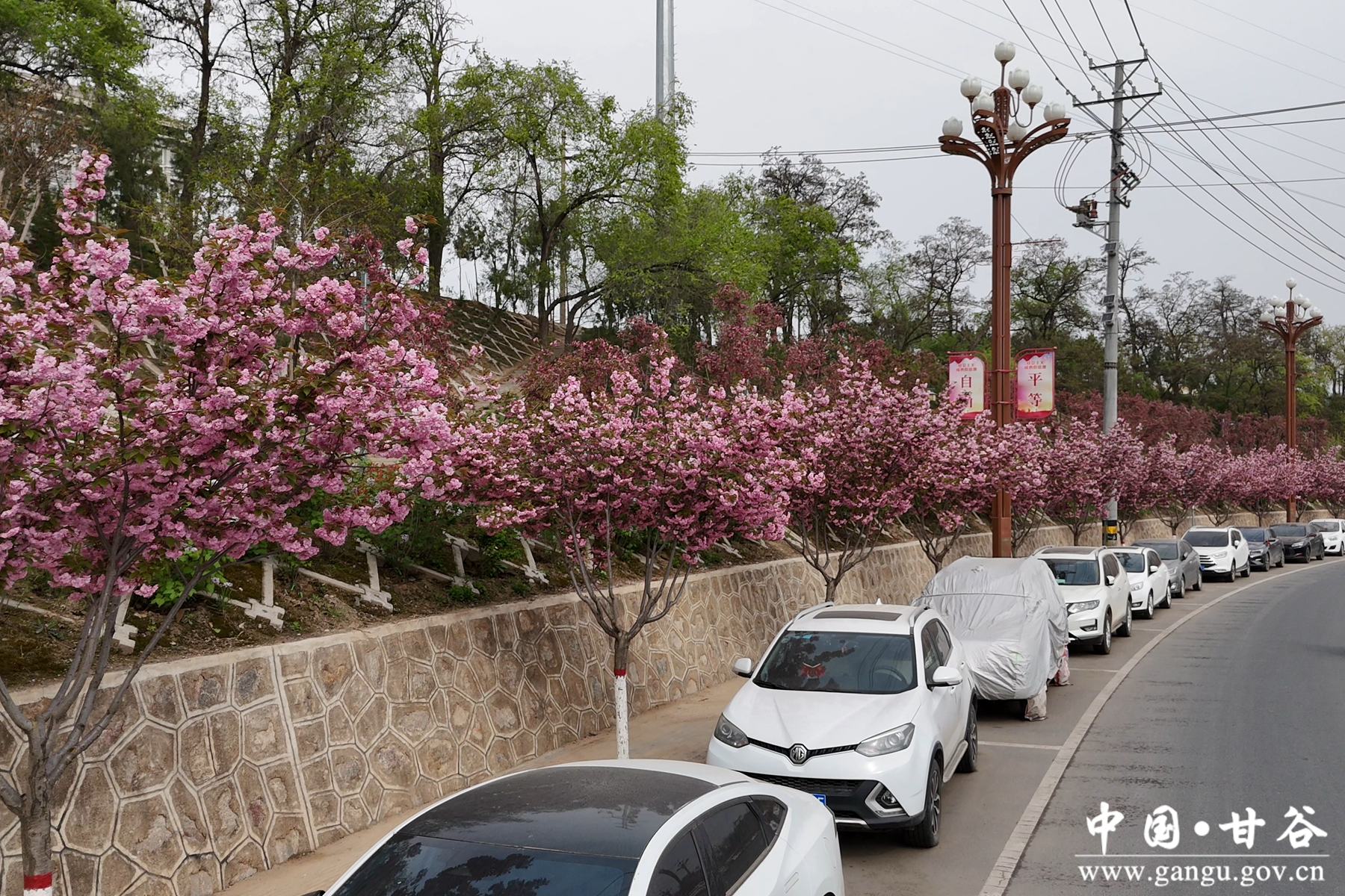 微信图片_20260417092318_5_209 微信图片_20260417092318_5_209