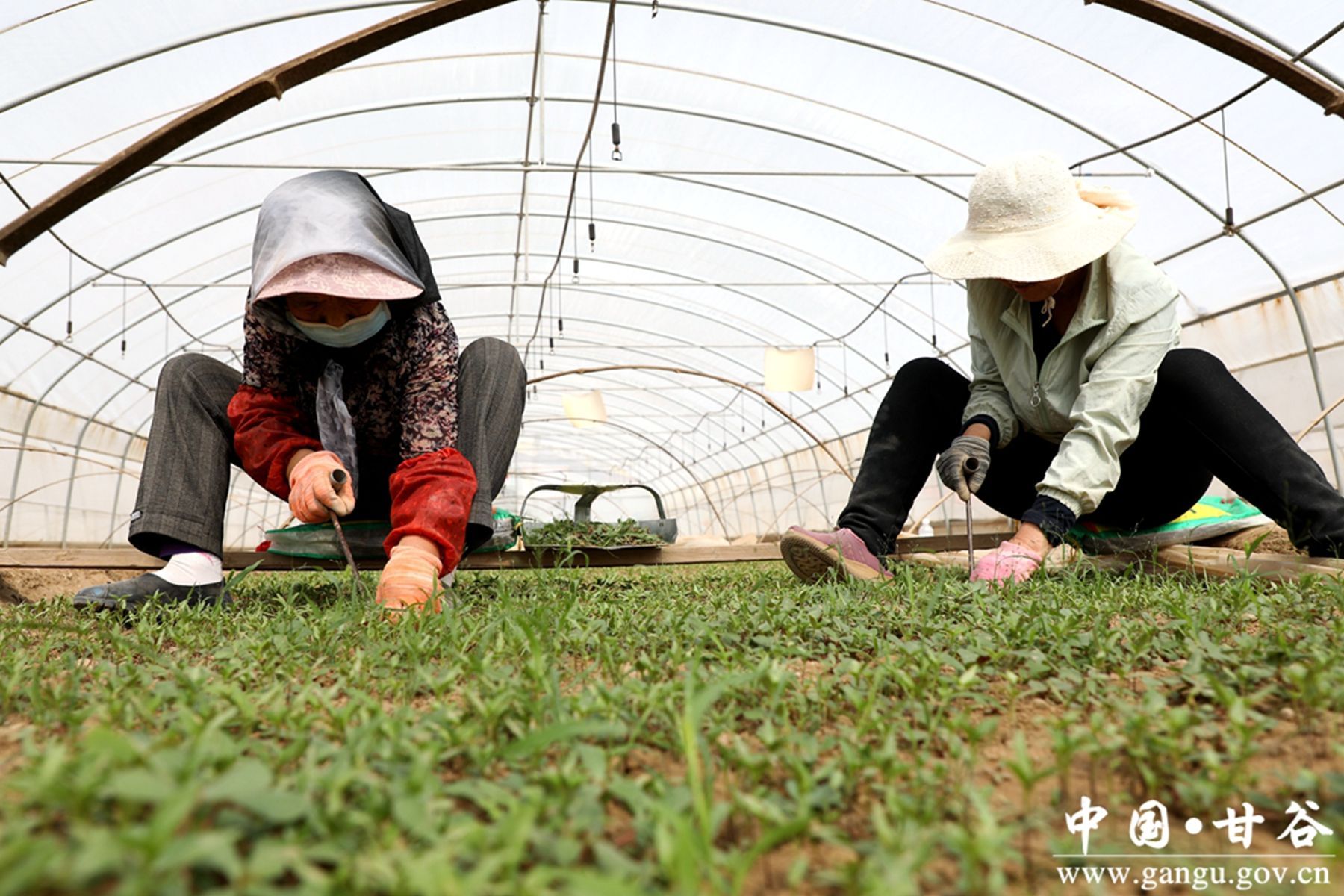 79328450EC282C0F87A03BD987C_5EF898EE_4BE6F 79328450EC282C0F87A03BD987C_5EF898EE_4BE6F