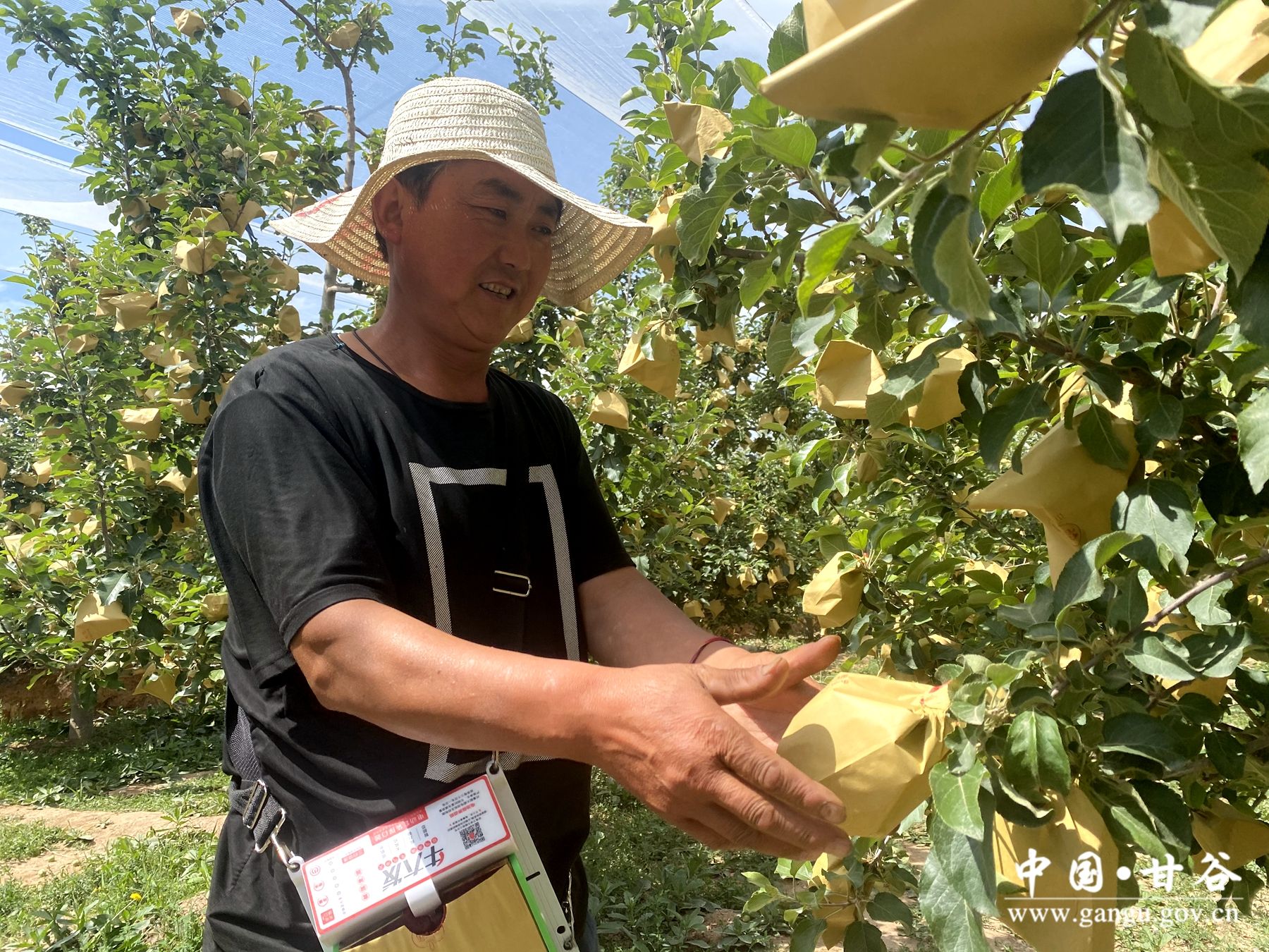 ad37eabe6cb4cc971dbdbfd02f9cb15 ad37eabe6cb4cc971dbdbfd02f9cb15