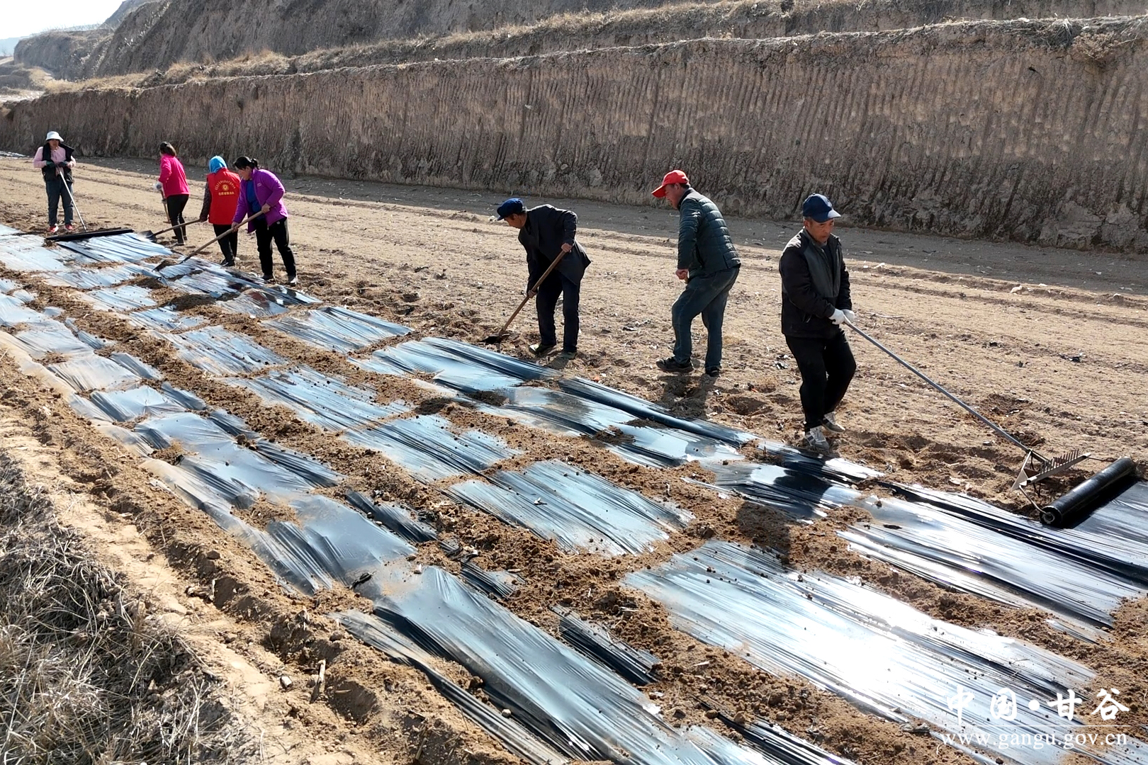 1773025252051012537.jpg 1773025252051012537.jpg