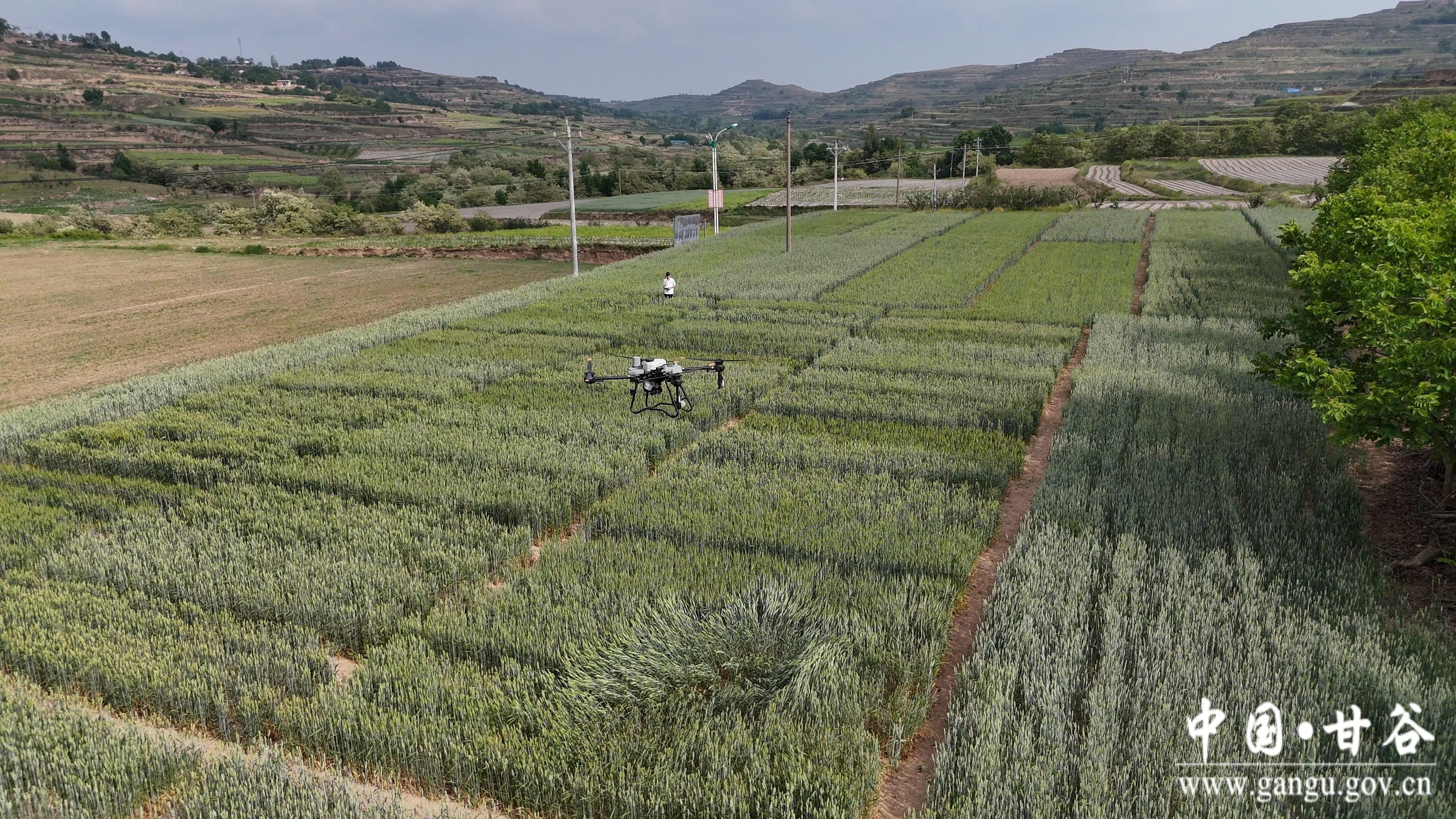 1716776672834018960.jpg 1716776672834018960.jpg