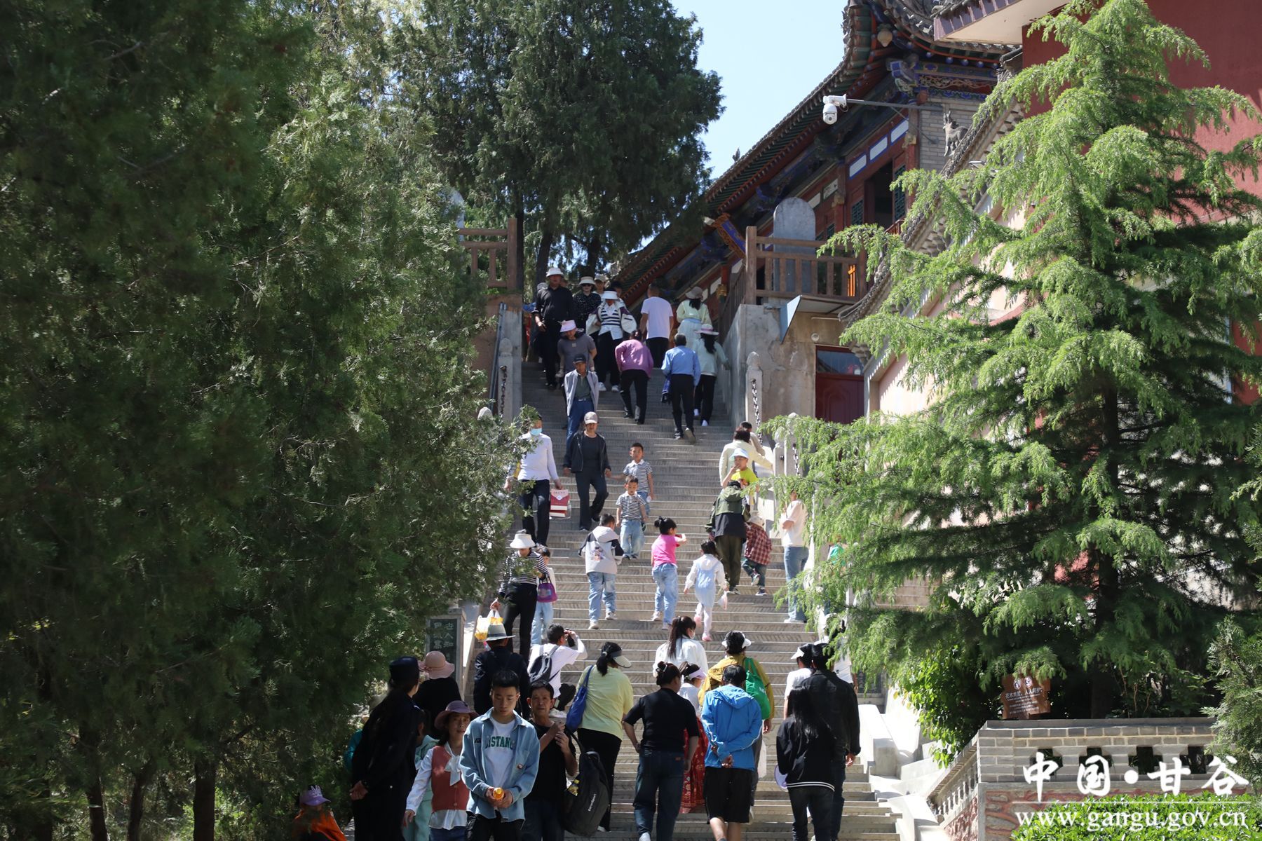 926A9570_副本 926A9570_副本