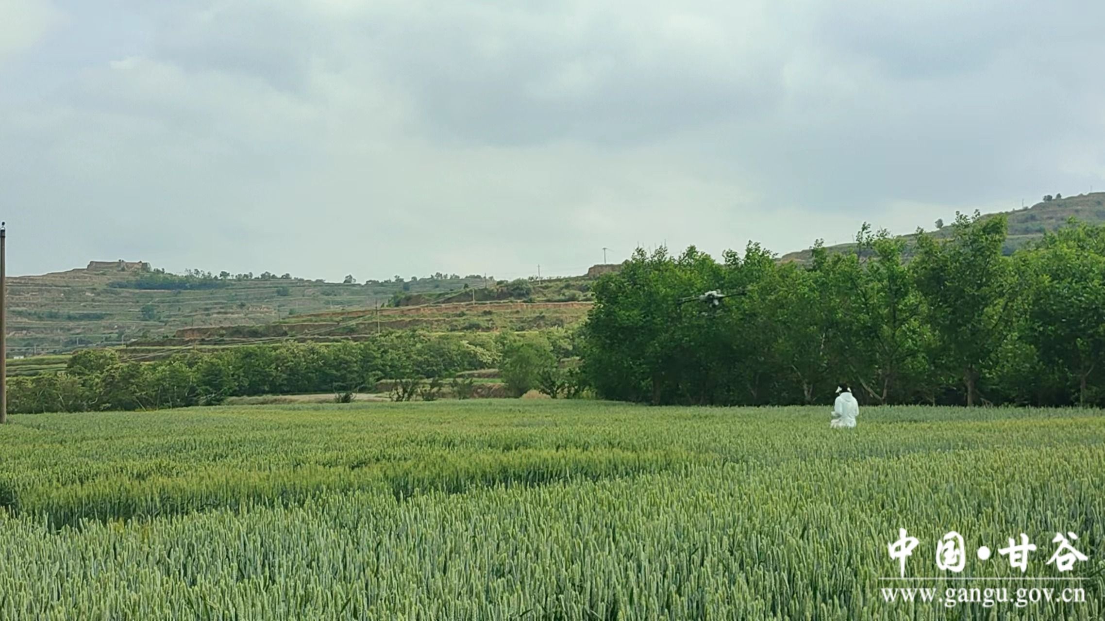 1716776654657073161.jpg 1716776654657073161.jpg